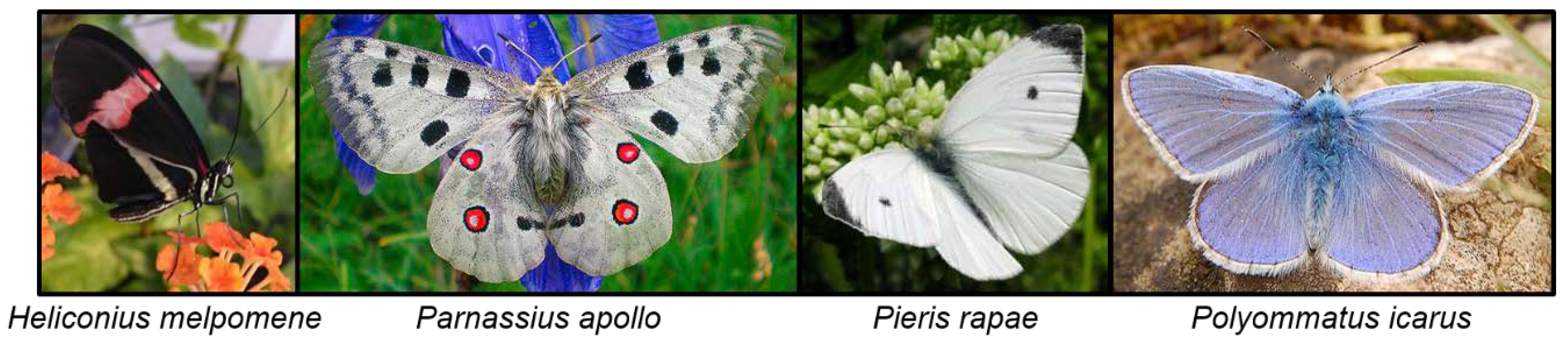 Insects 09 00051 g015