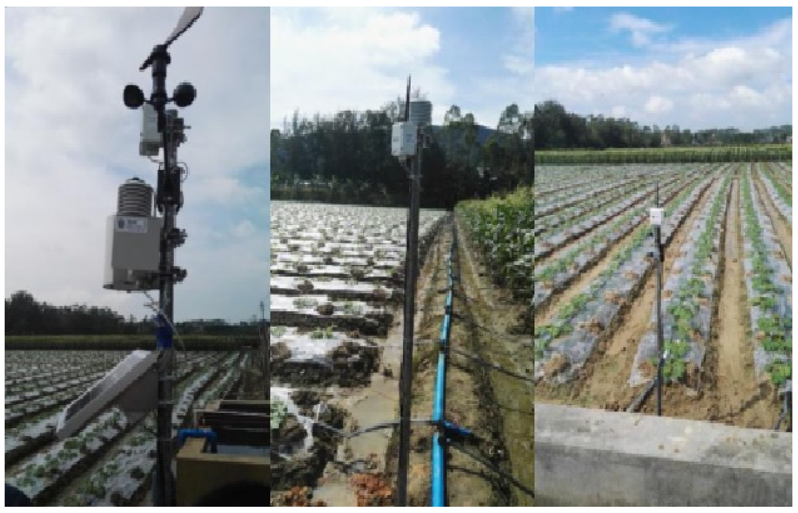 Insects 09 00066 g005