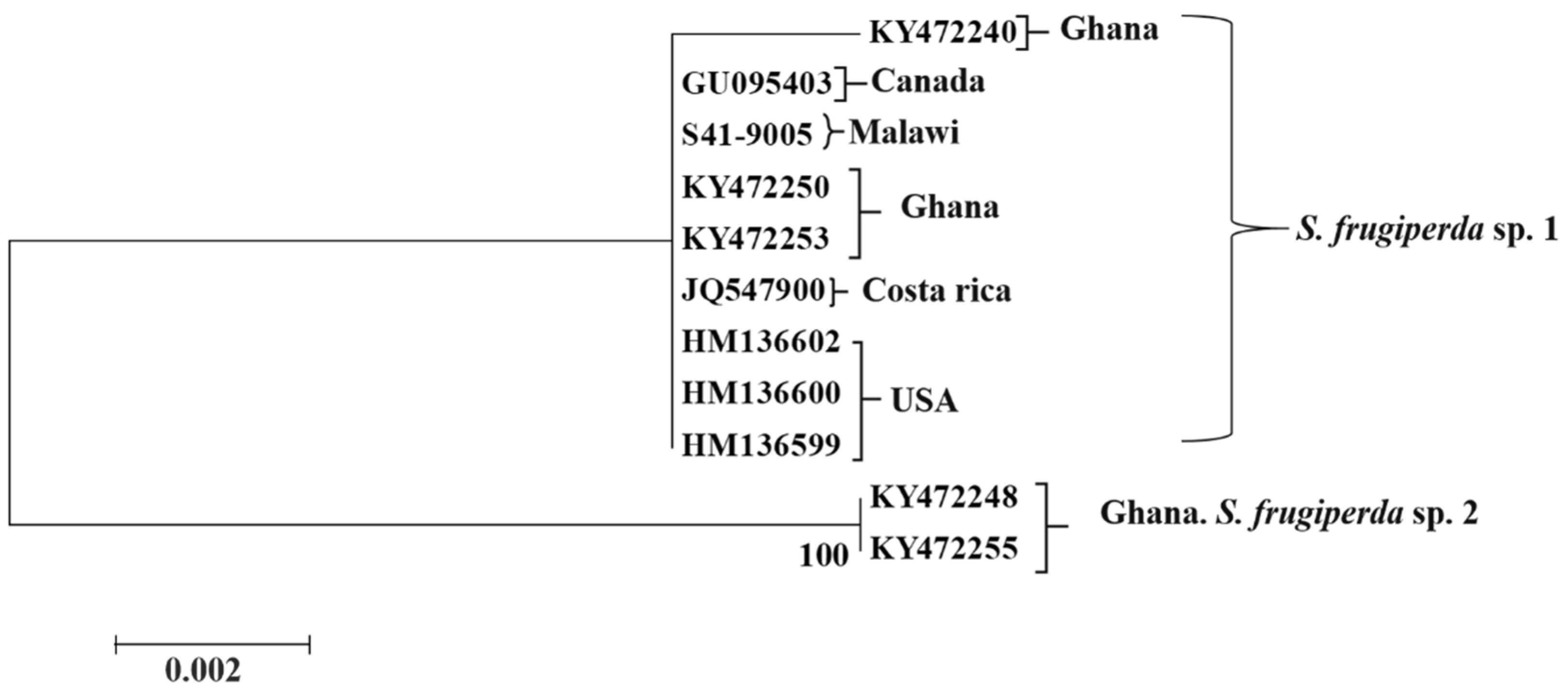 Insects 09 00074 g005