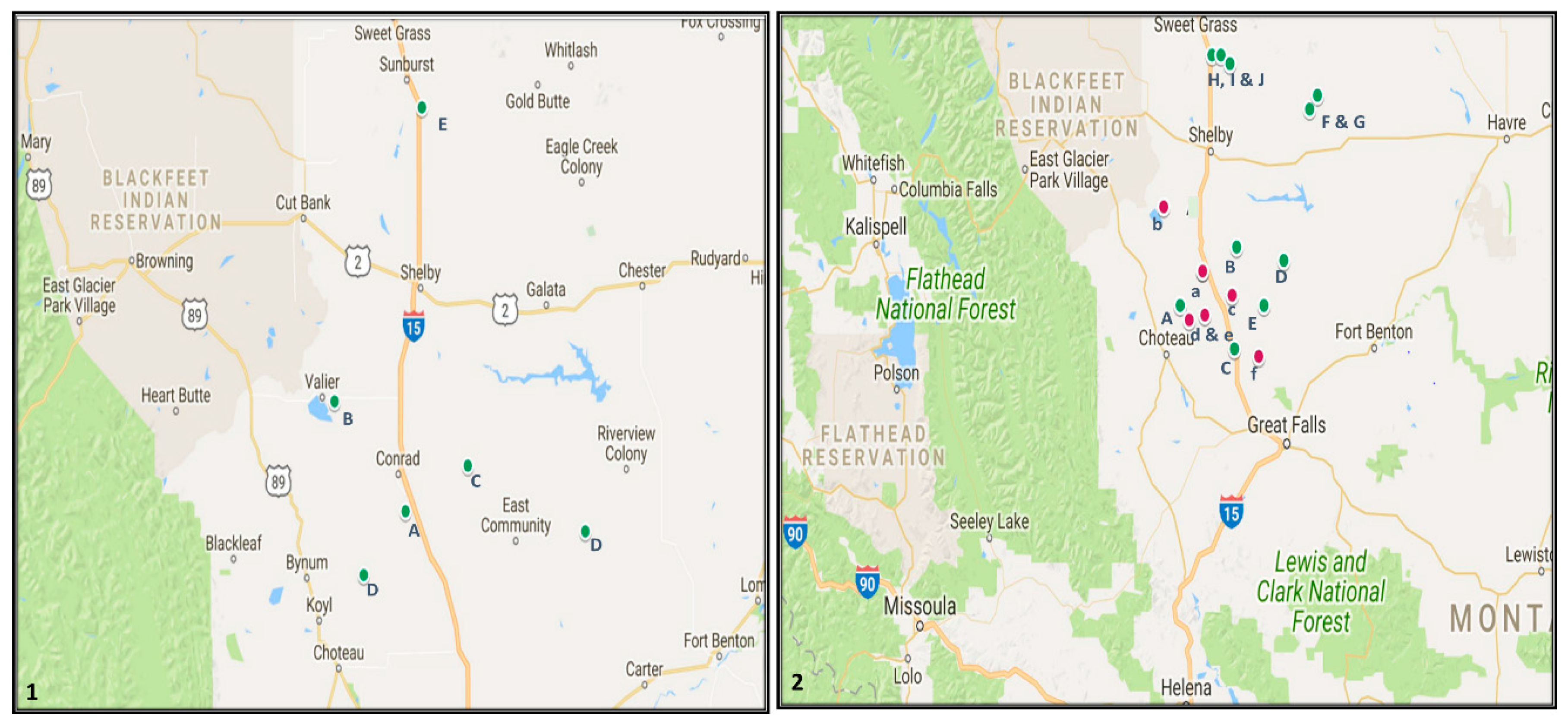 Insects 09 00075 g001