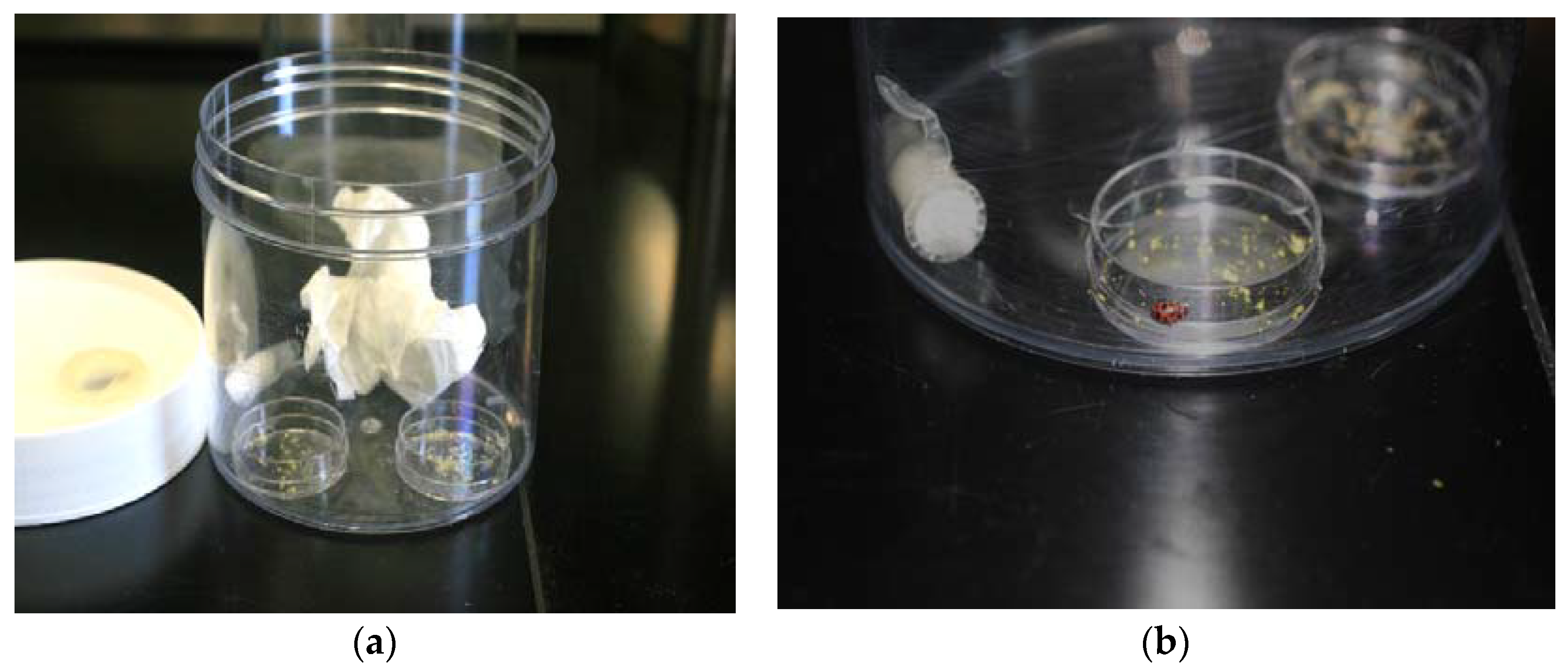 Insects 09 00077 g001