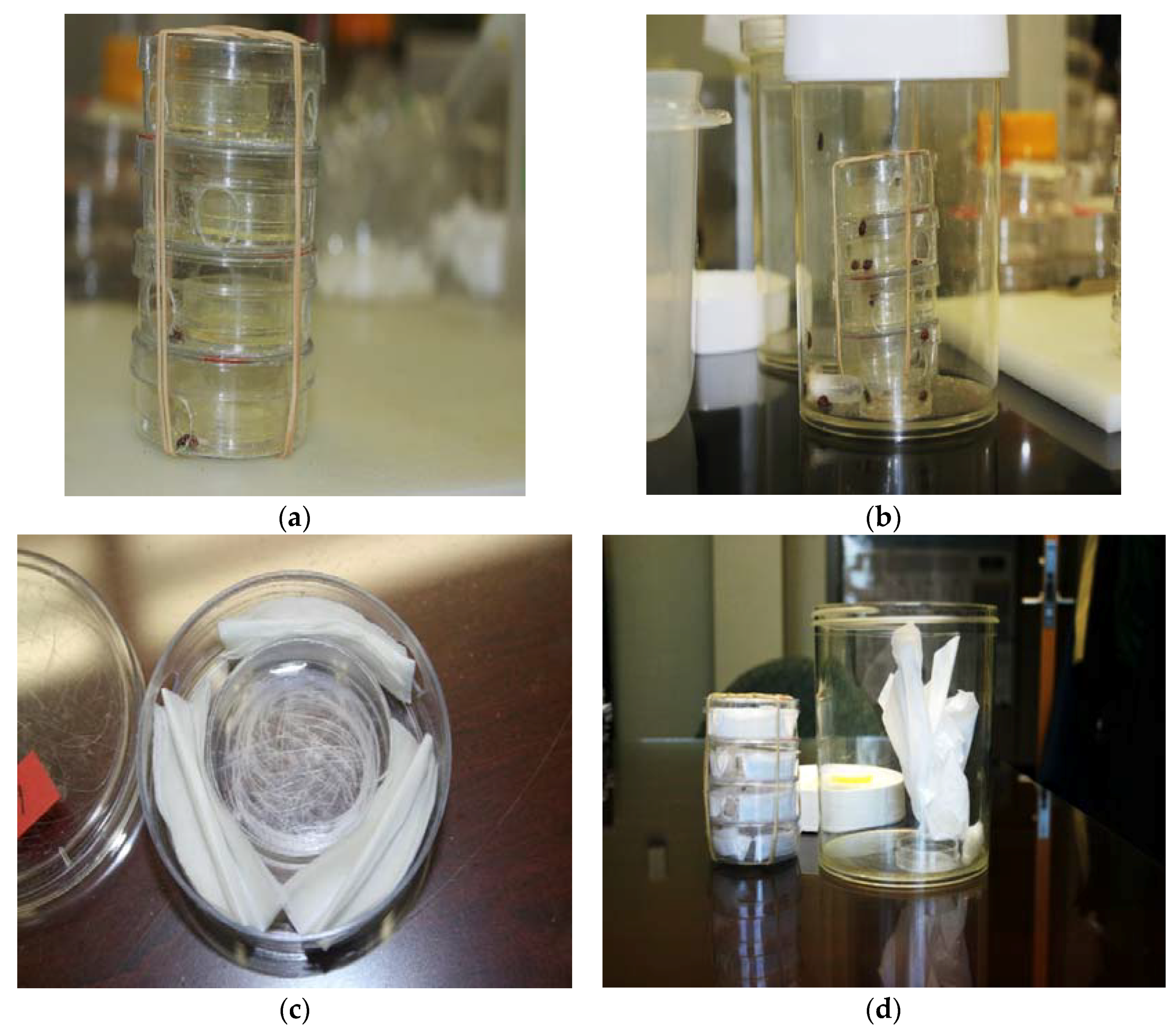 Insects 09 00077 g002