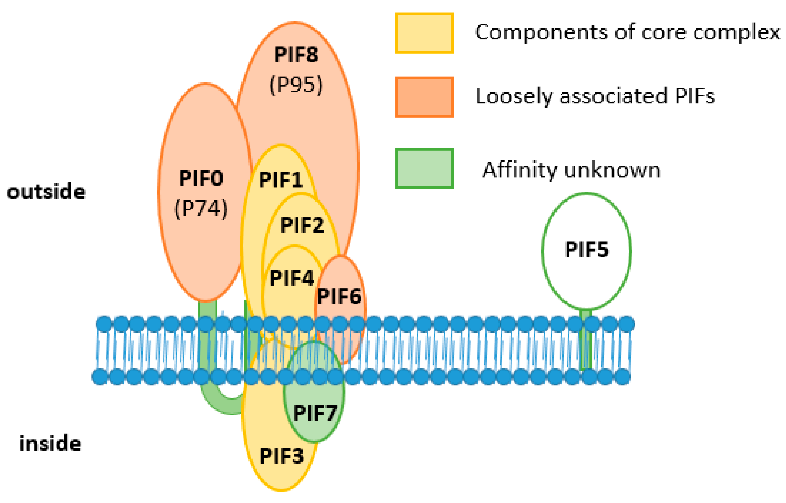 Insects 09 00084 g005