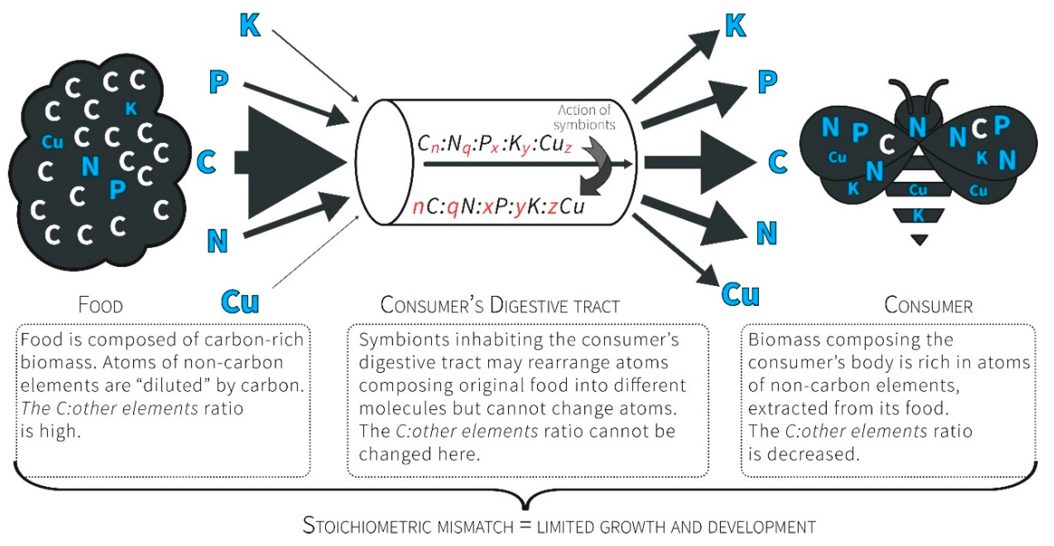 Insects 09 00085 g001