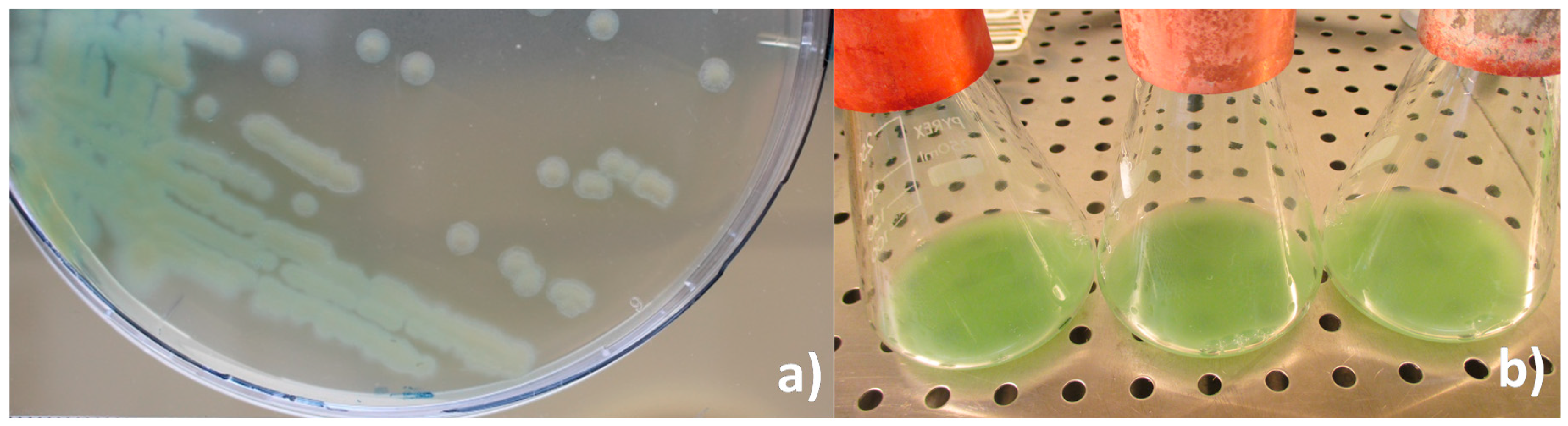 Insects 09 00088 g003