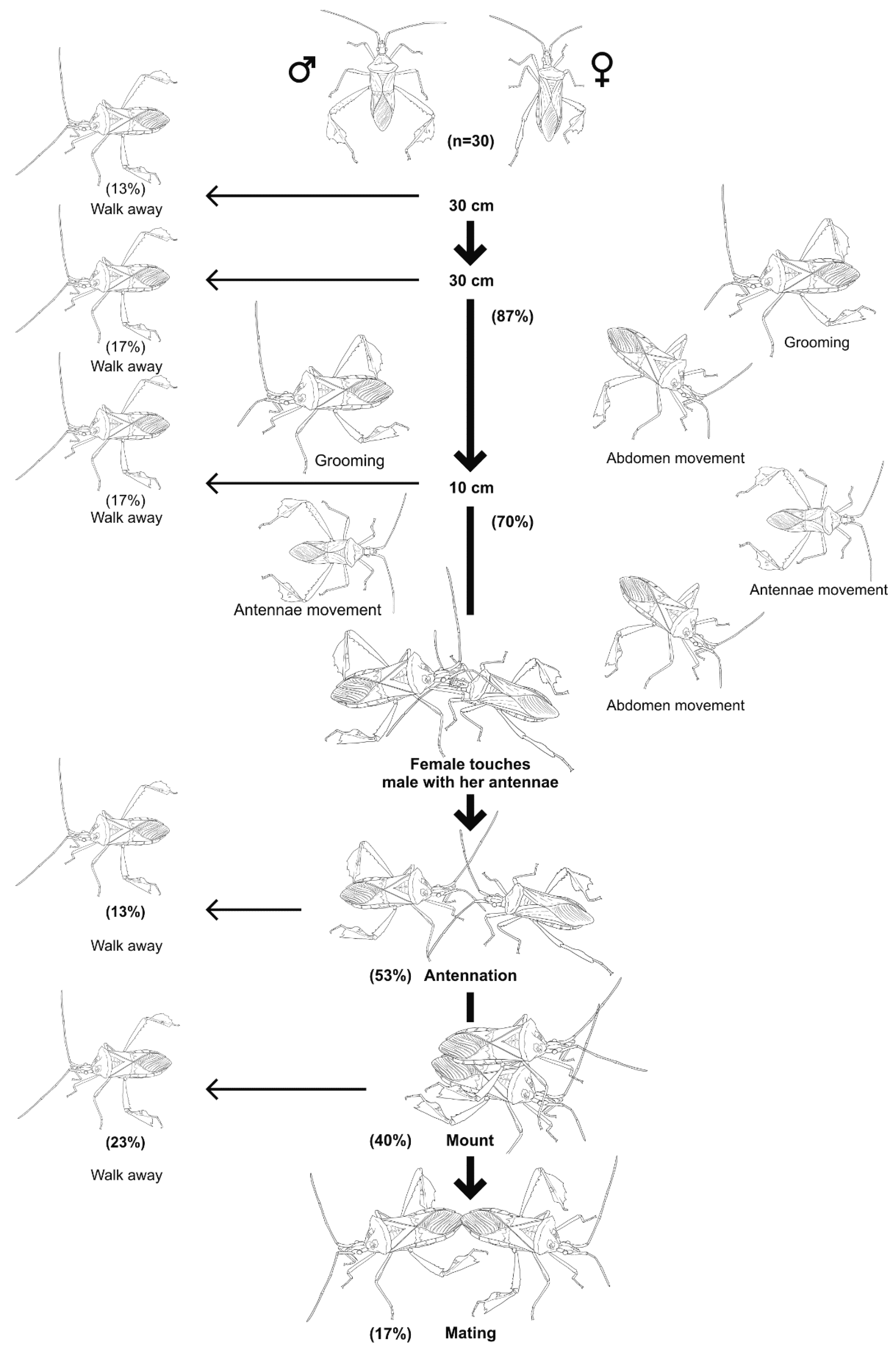 Insects 09 00091 g006