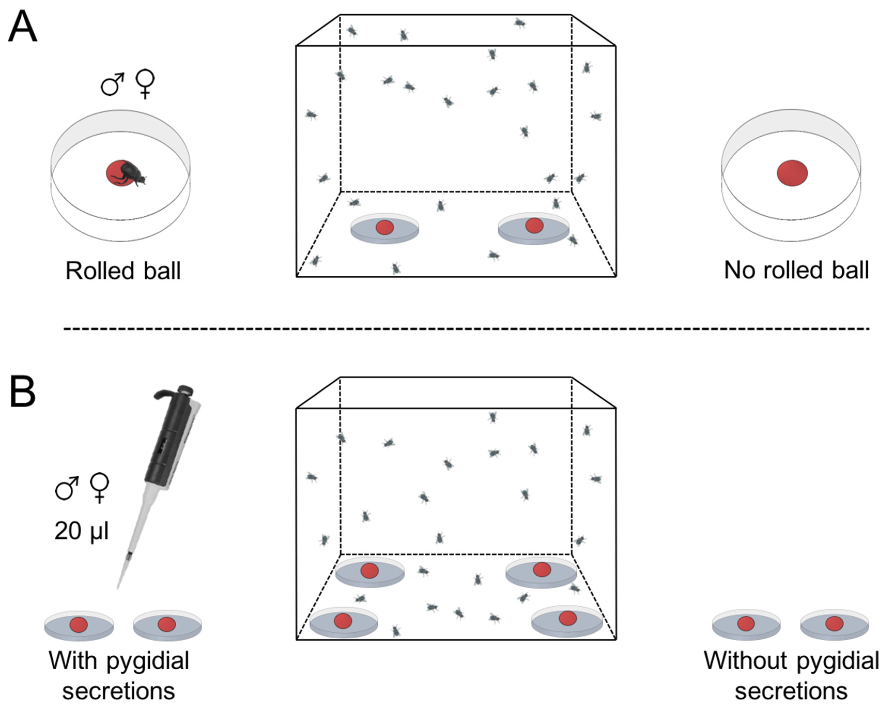 Insects 09 00092 g002