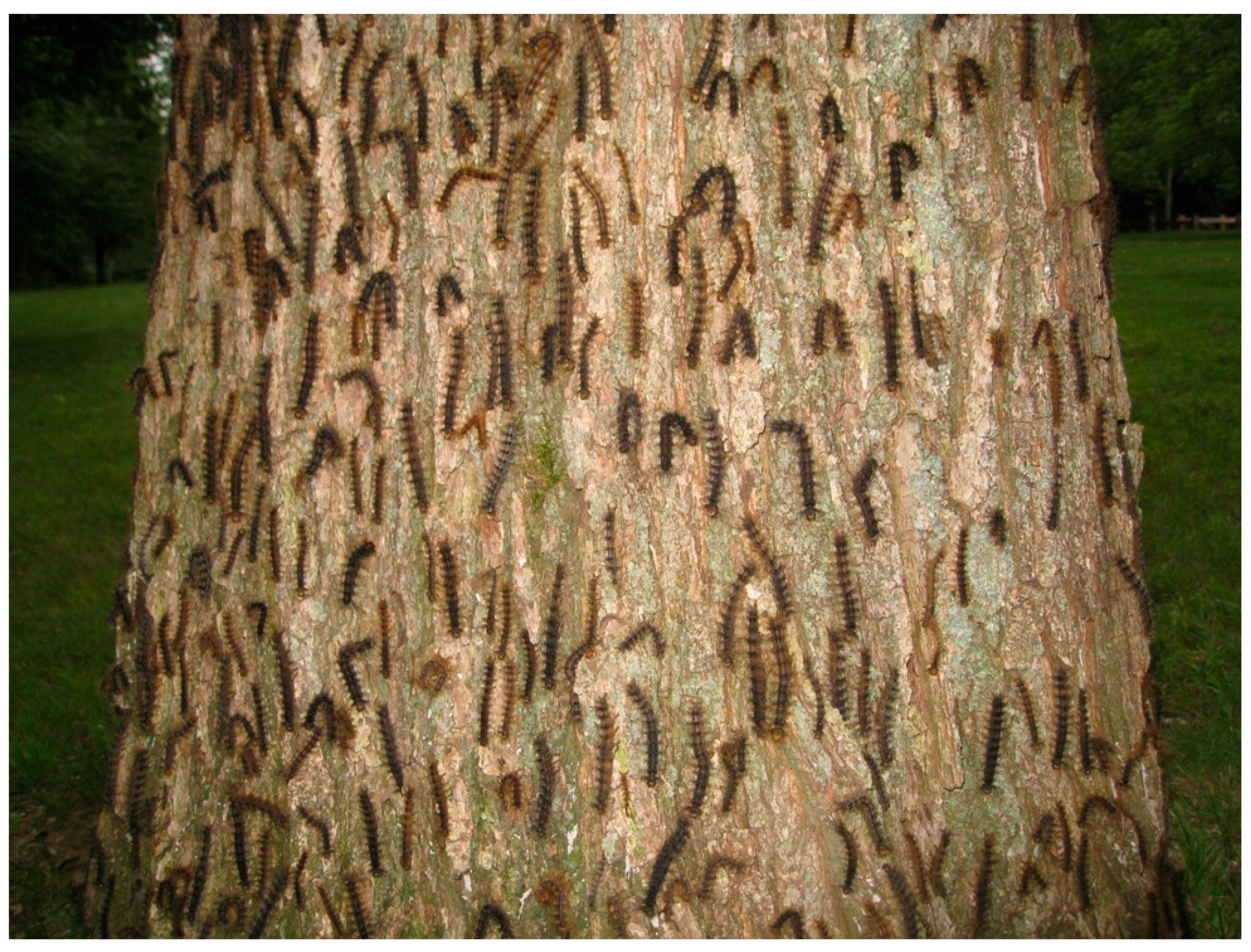 Insects 09 00102 g002