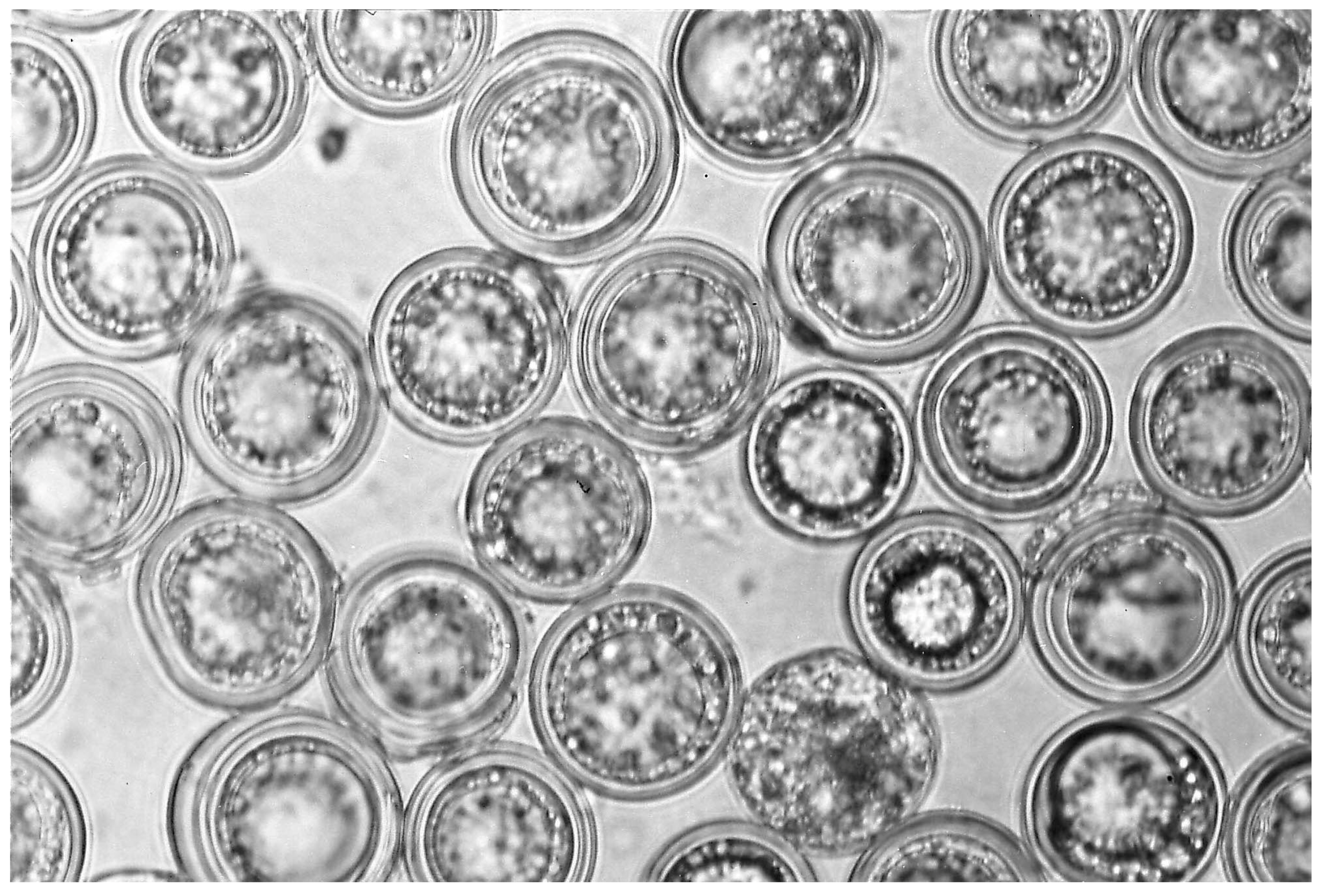 Insects 09 00102 g003