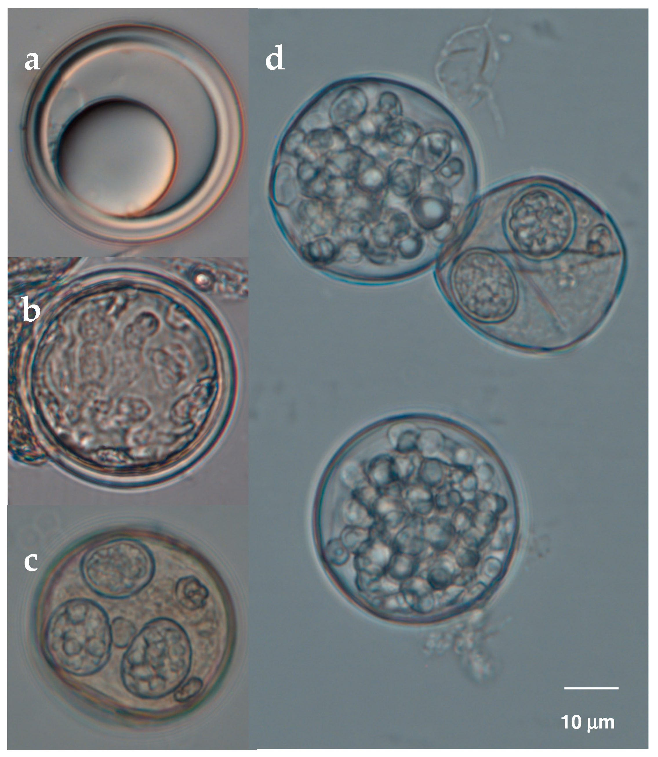 Insects 09 00102 g006