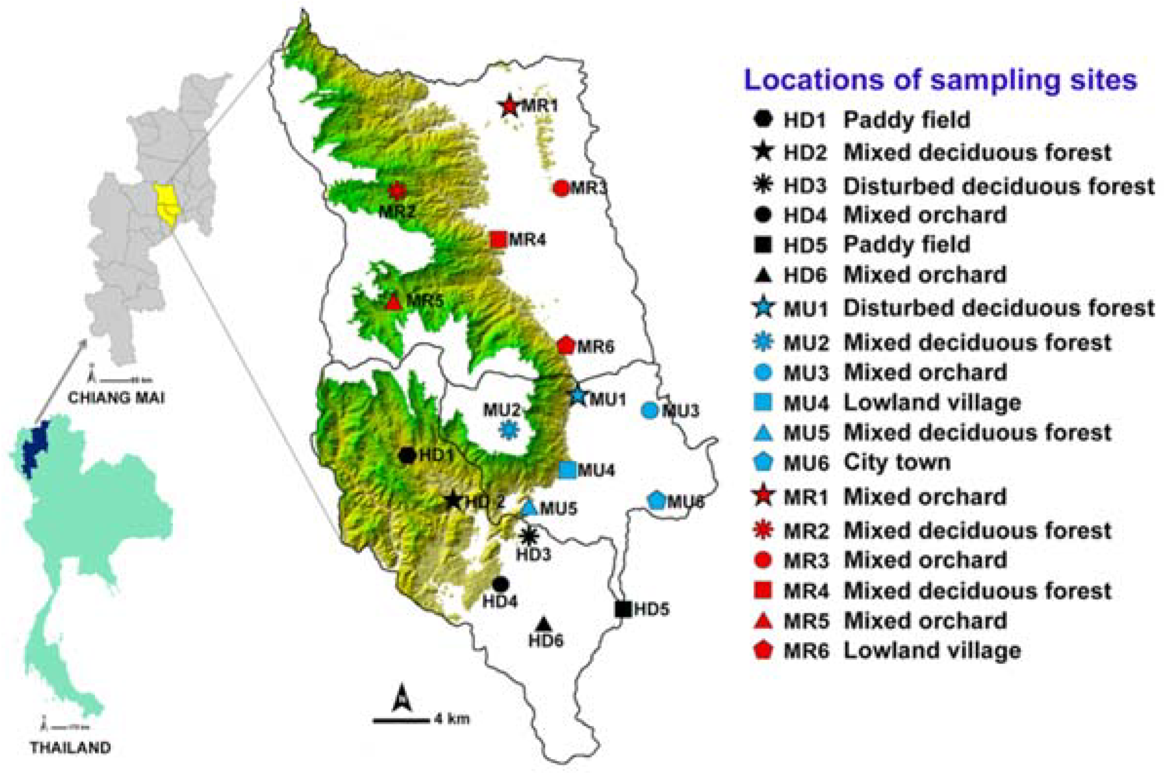 Insects 09 00106 g001