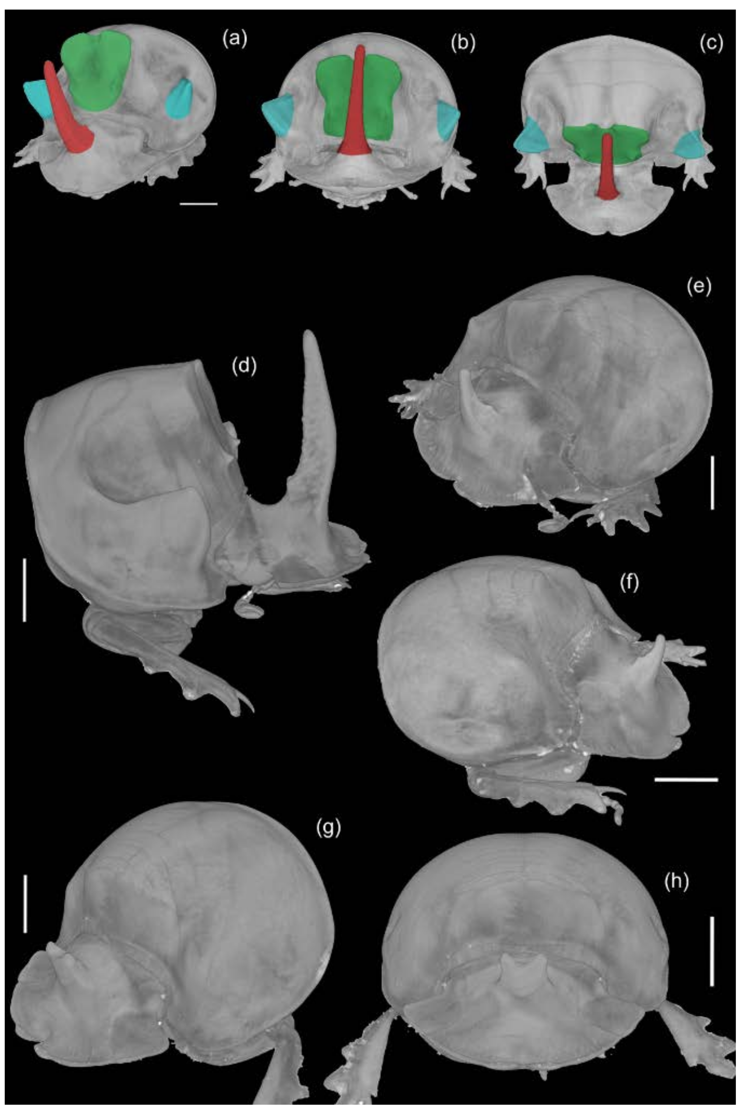 Insects 09 00108 g005