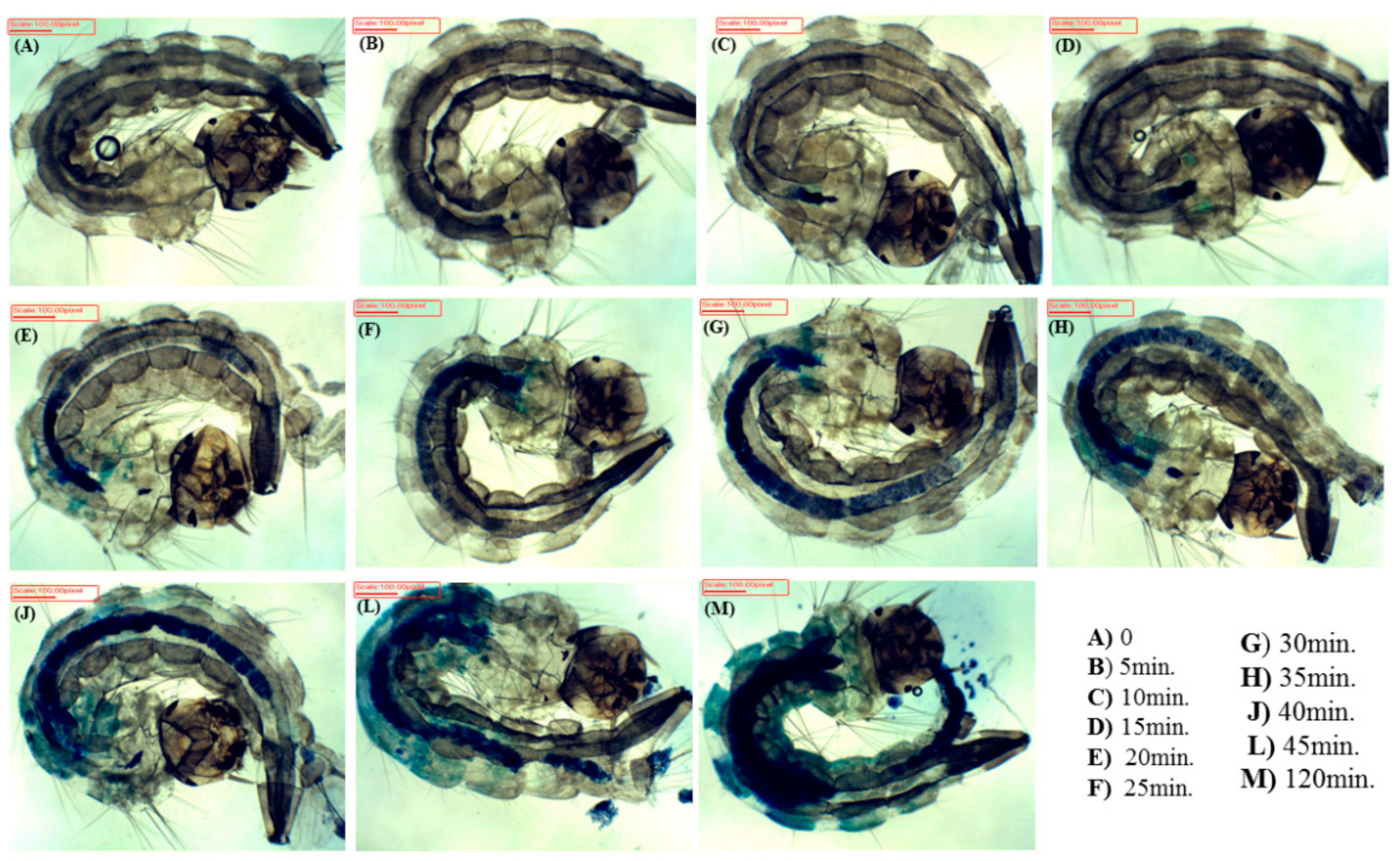 Insects 09 00109 g002