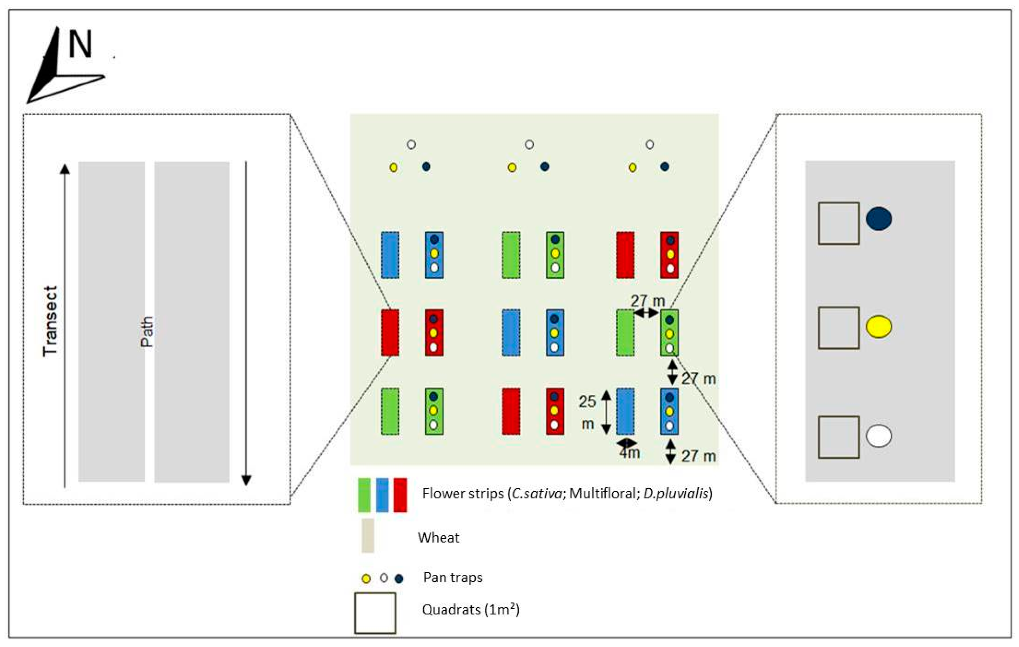 Insects 09 00114 g001