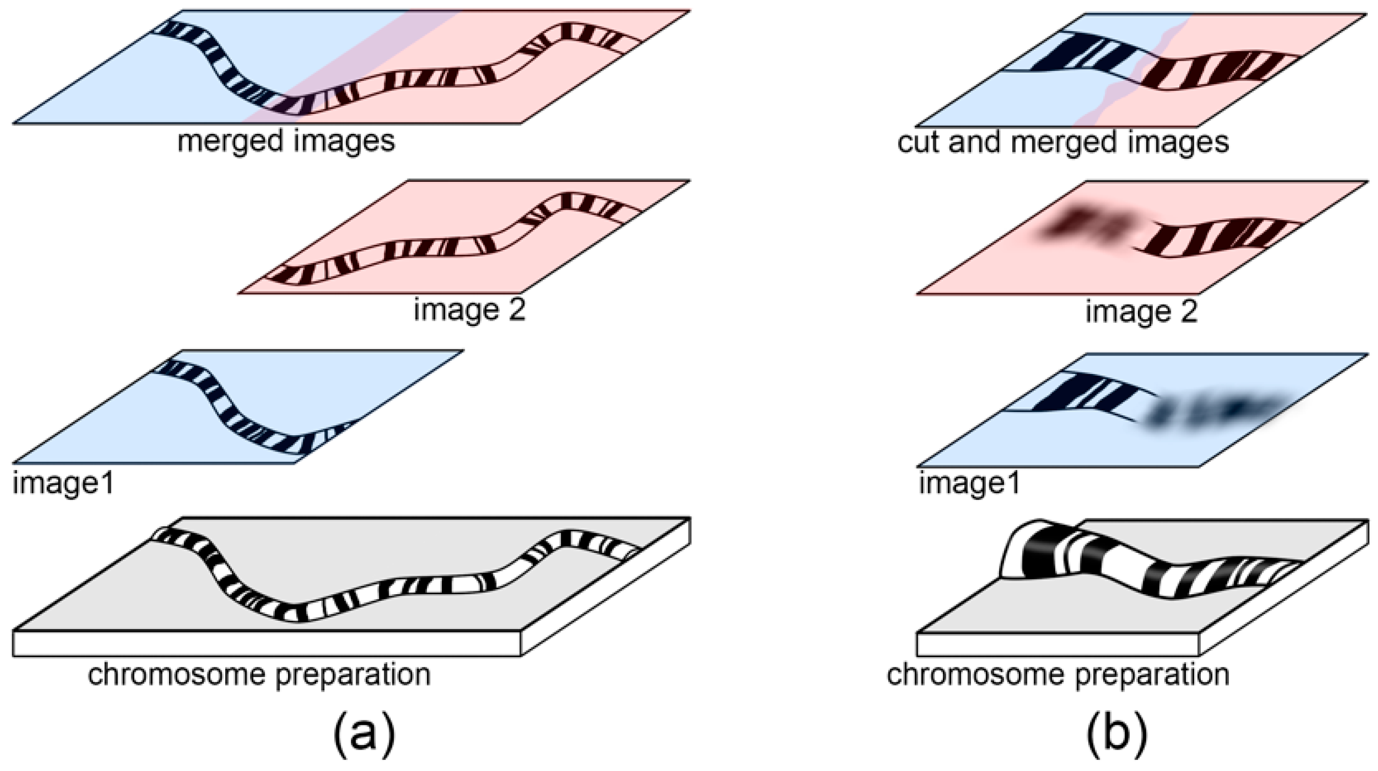 Insects 09 00121 g002