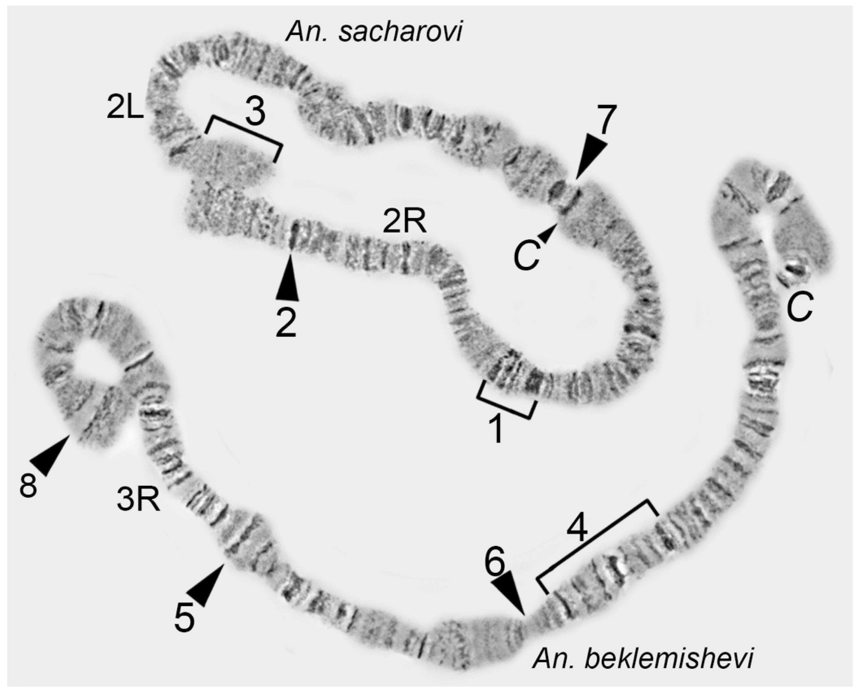 Insects 09 00121 g003