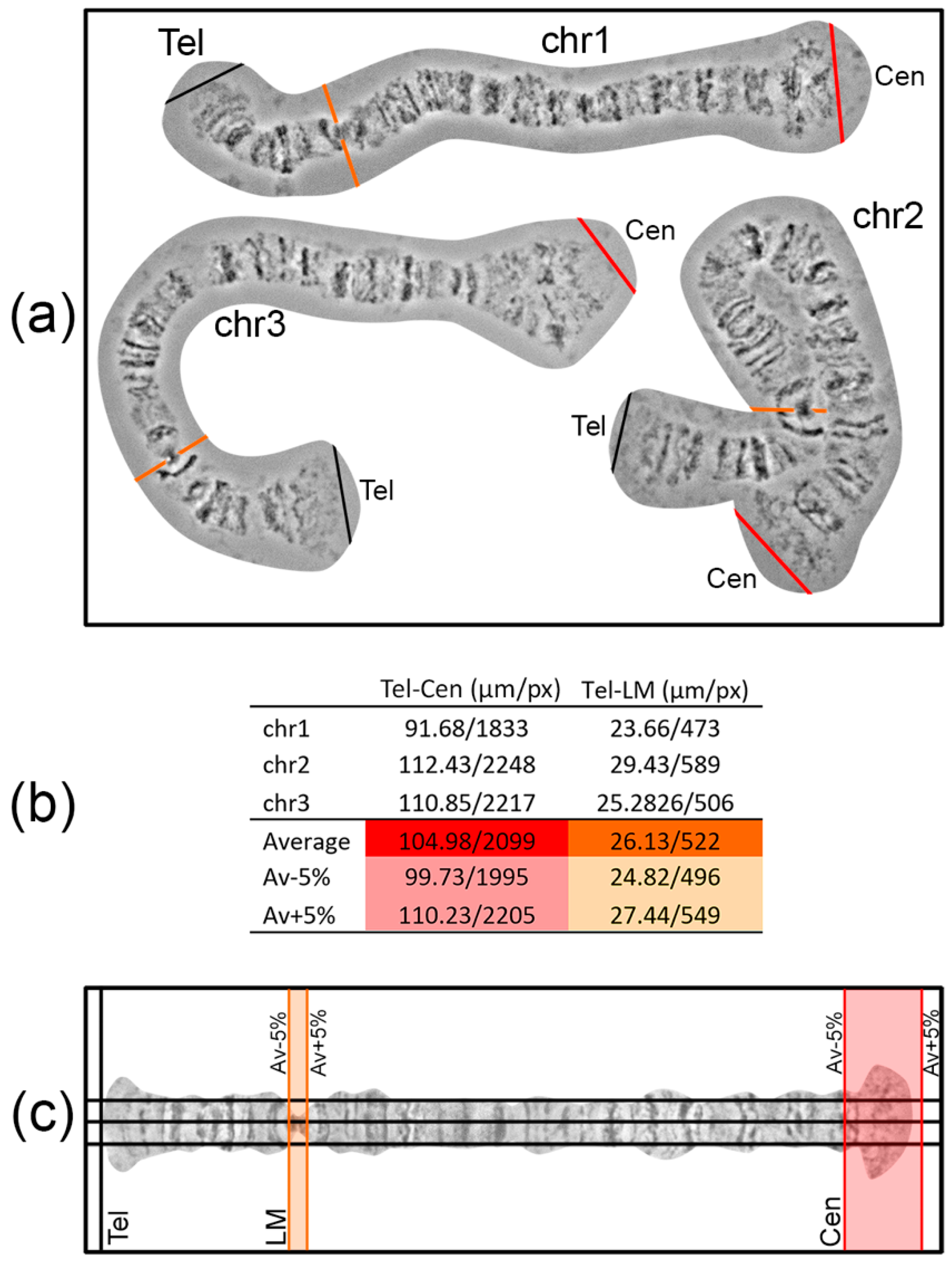 Insects 09 00121 g004