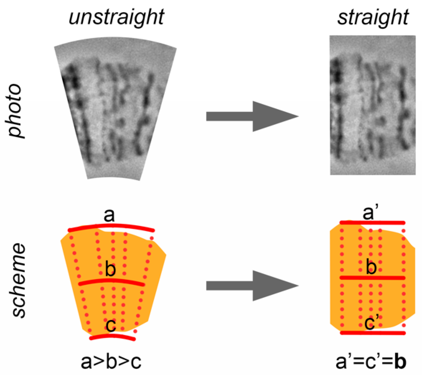 Insects 09 00121 g005