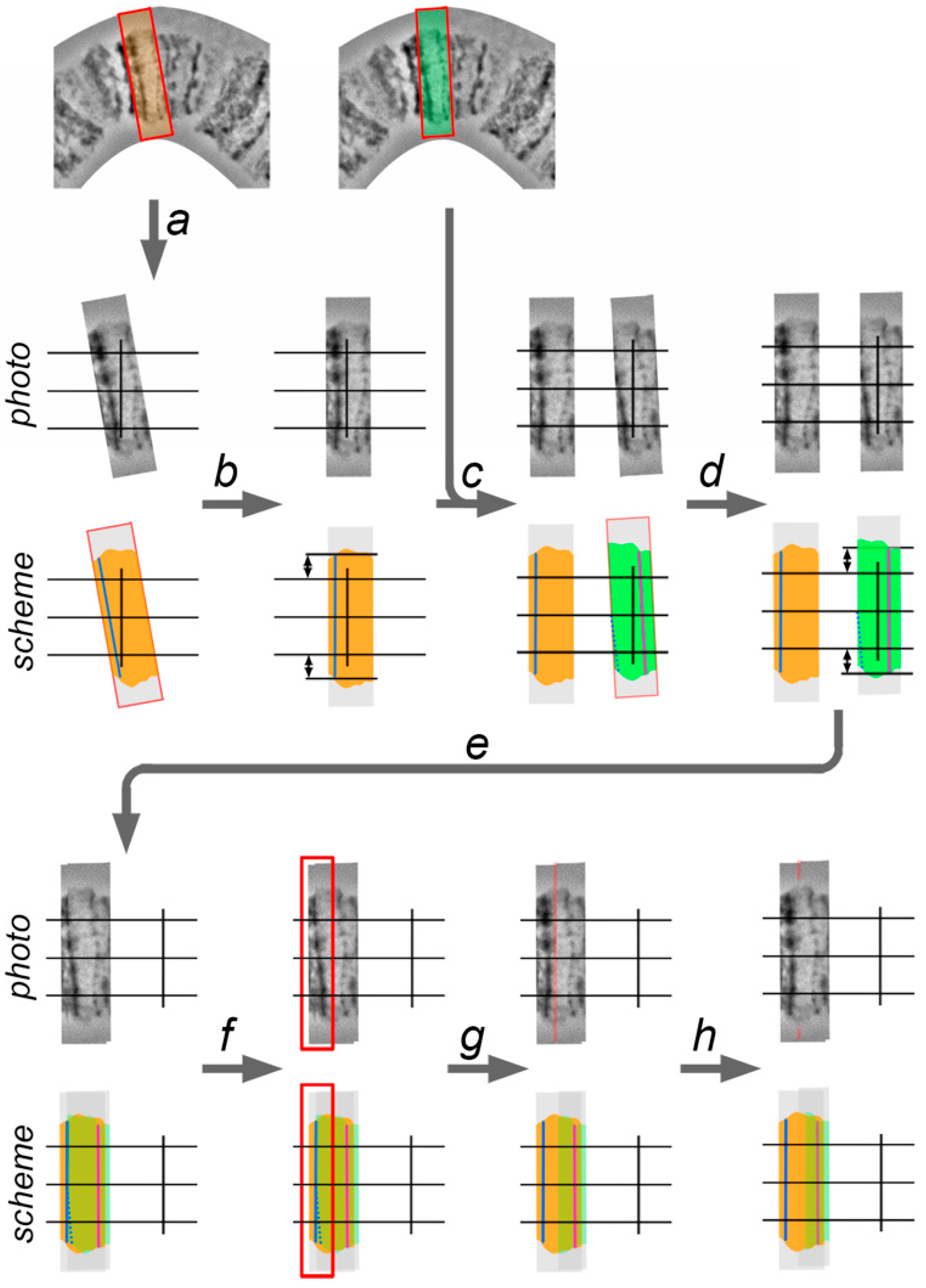 Insects 09 00121 g006