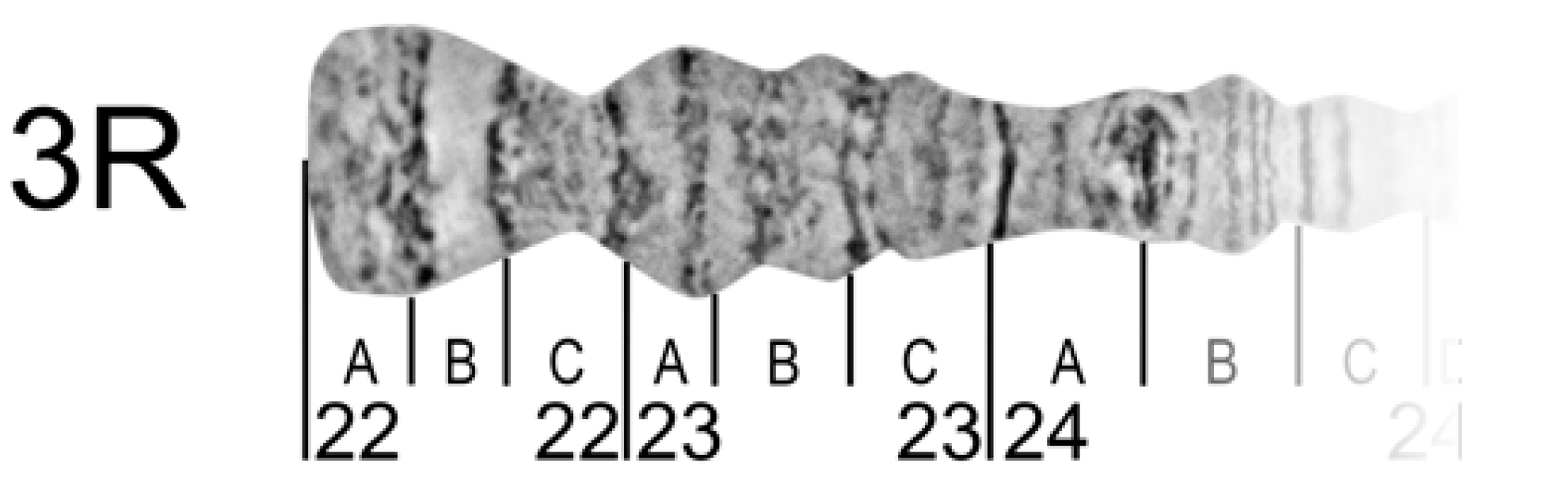 Insects 09 00121 g008