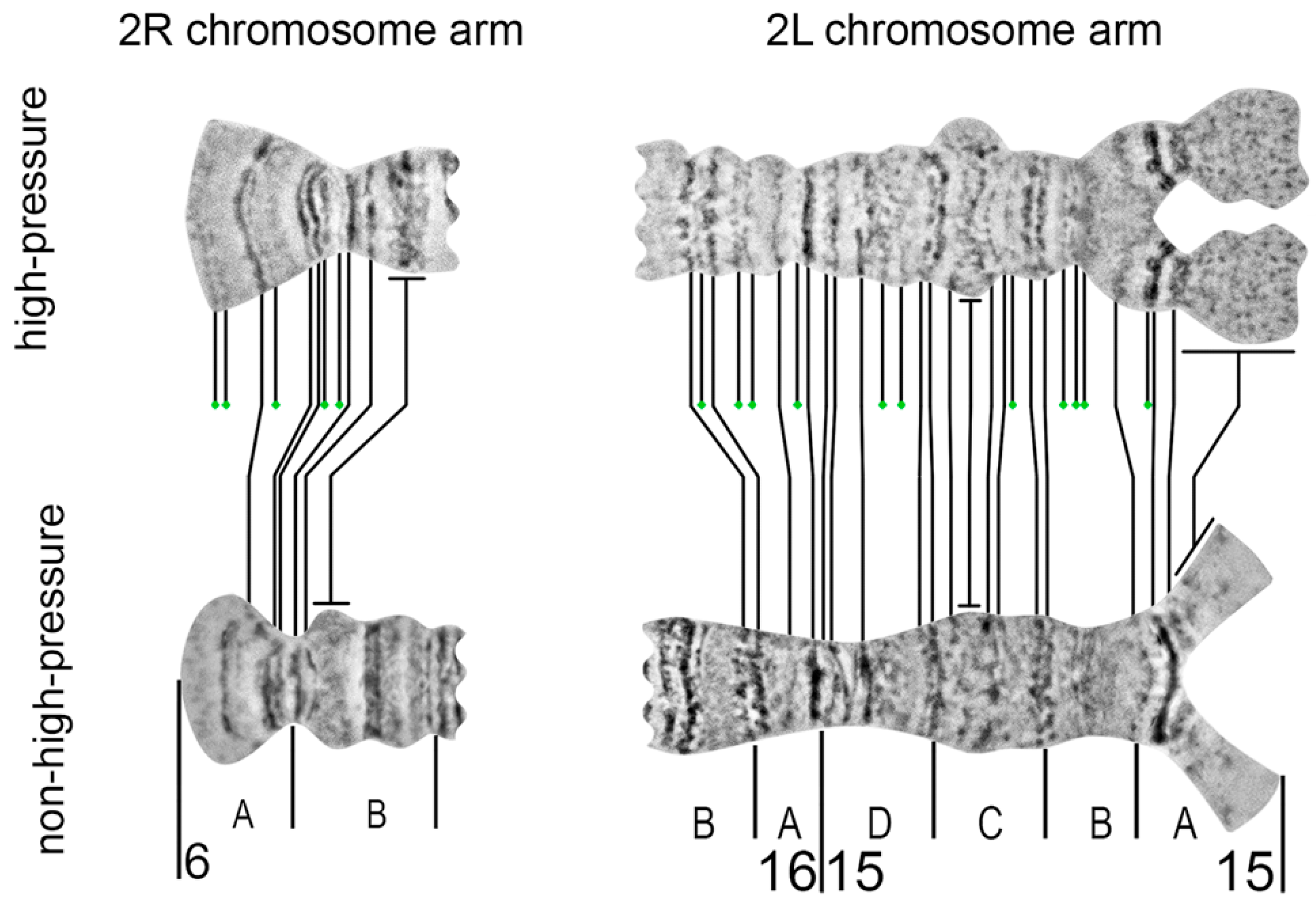 Insects 09 00121 g009