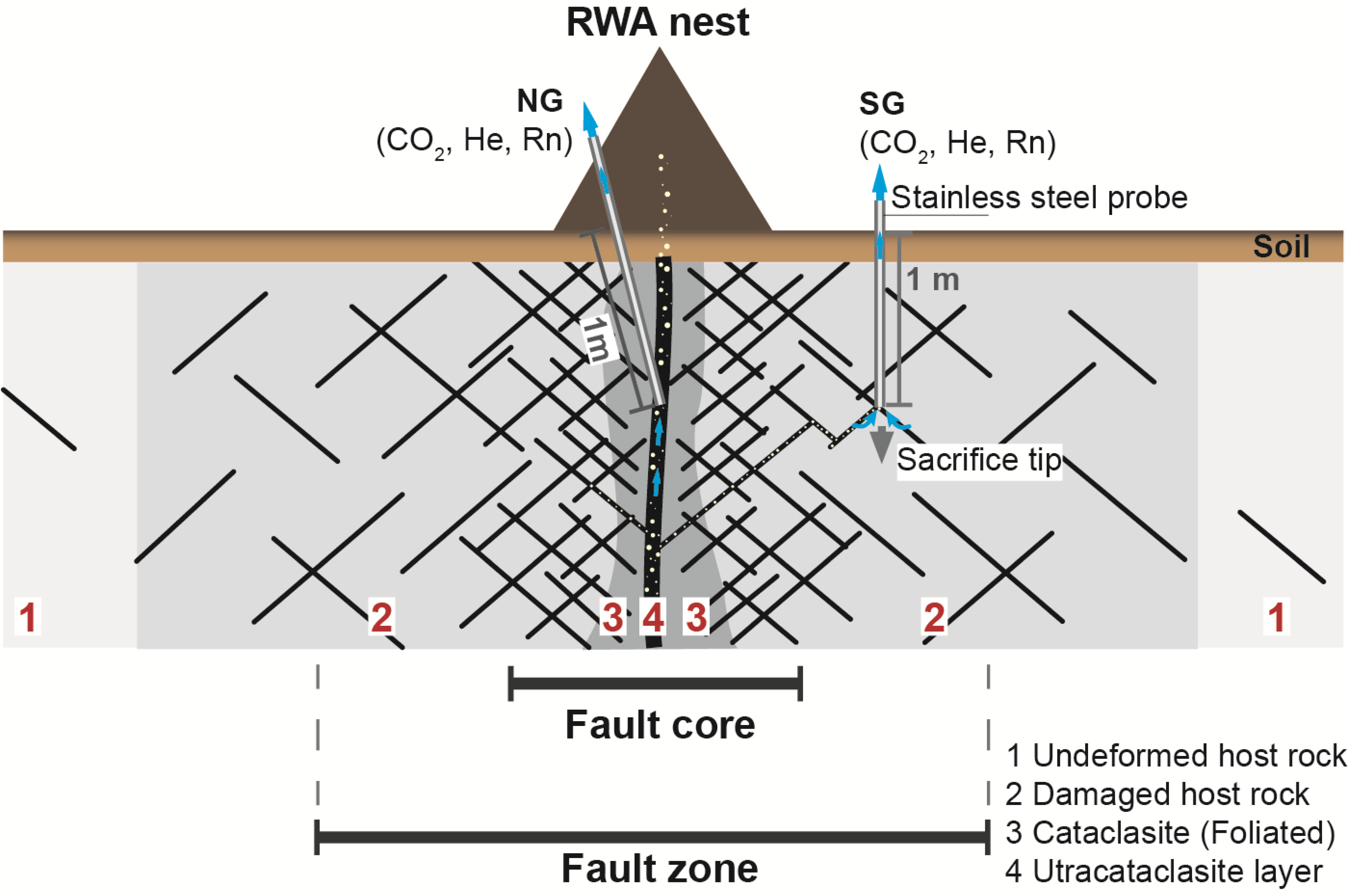 Insects 09 00135 g001