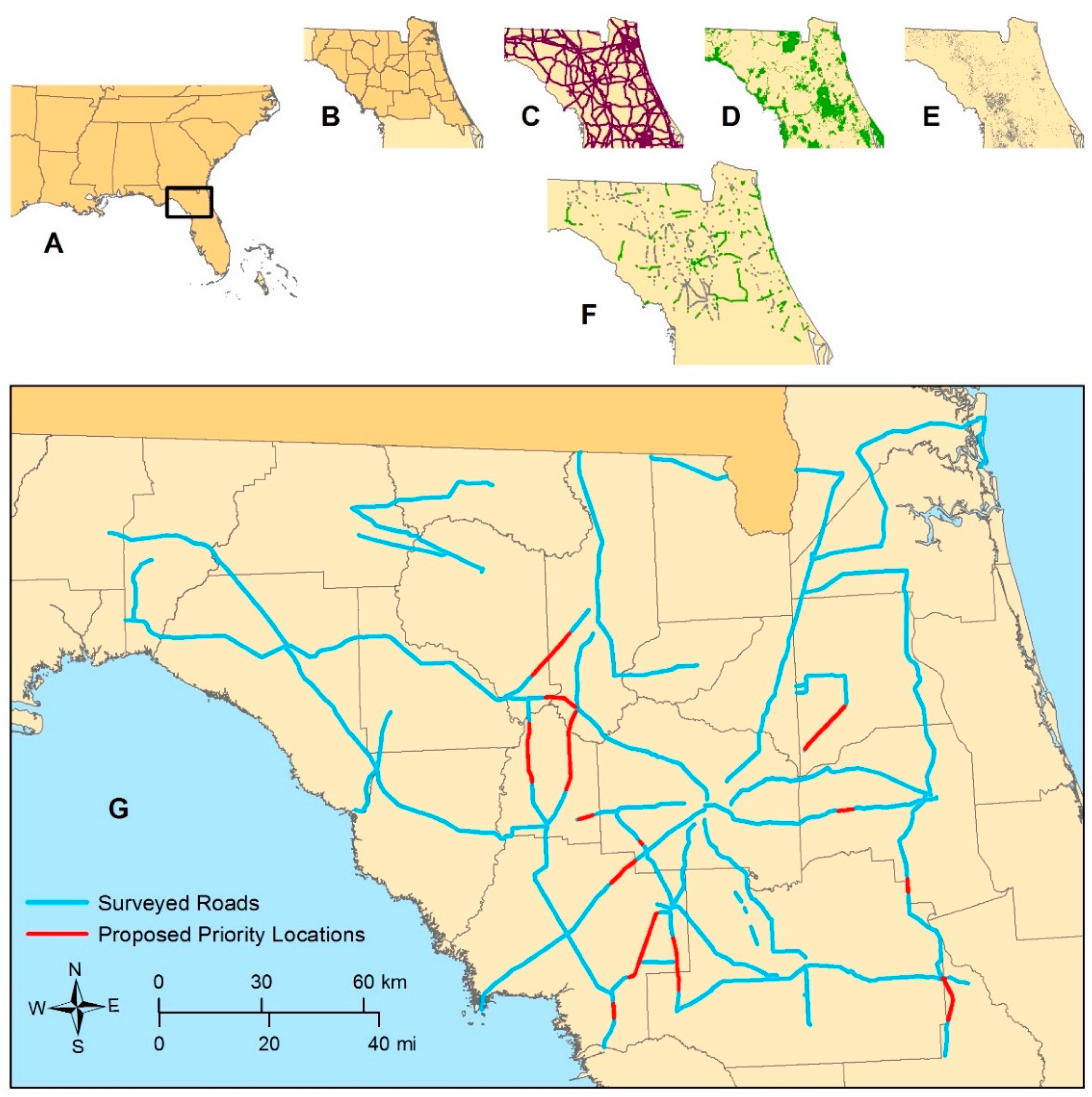 Insects 09 00137 g001