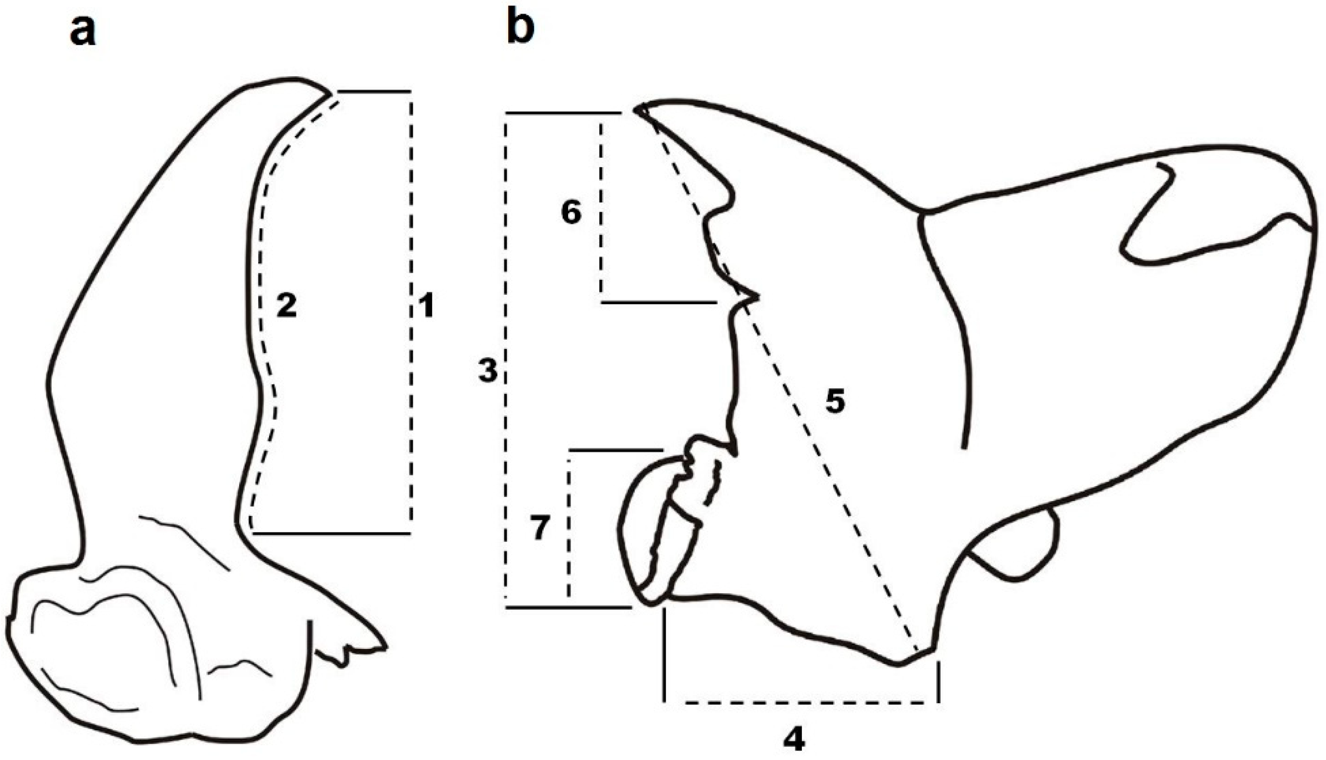 Insects 09 00151 g002