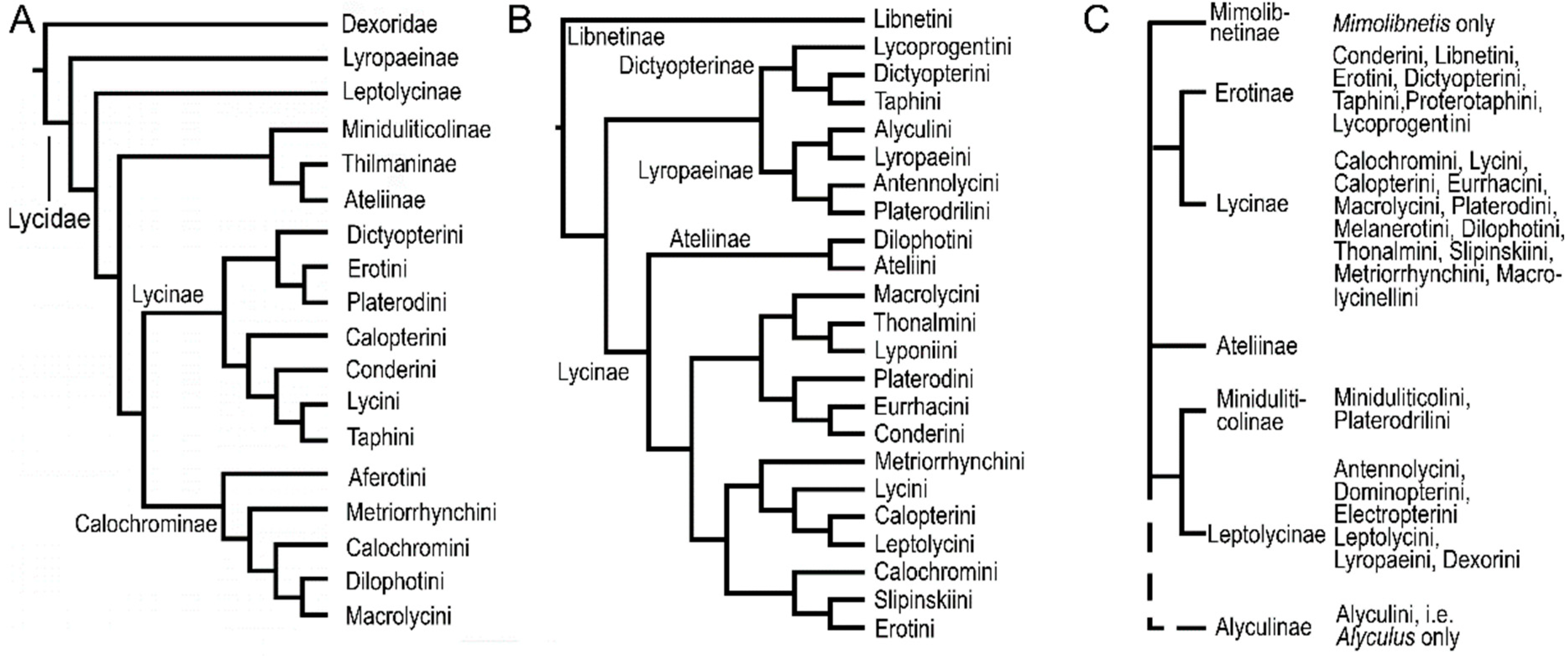 Insects 09 00154 g001