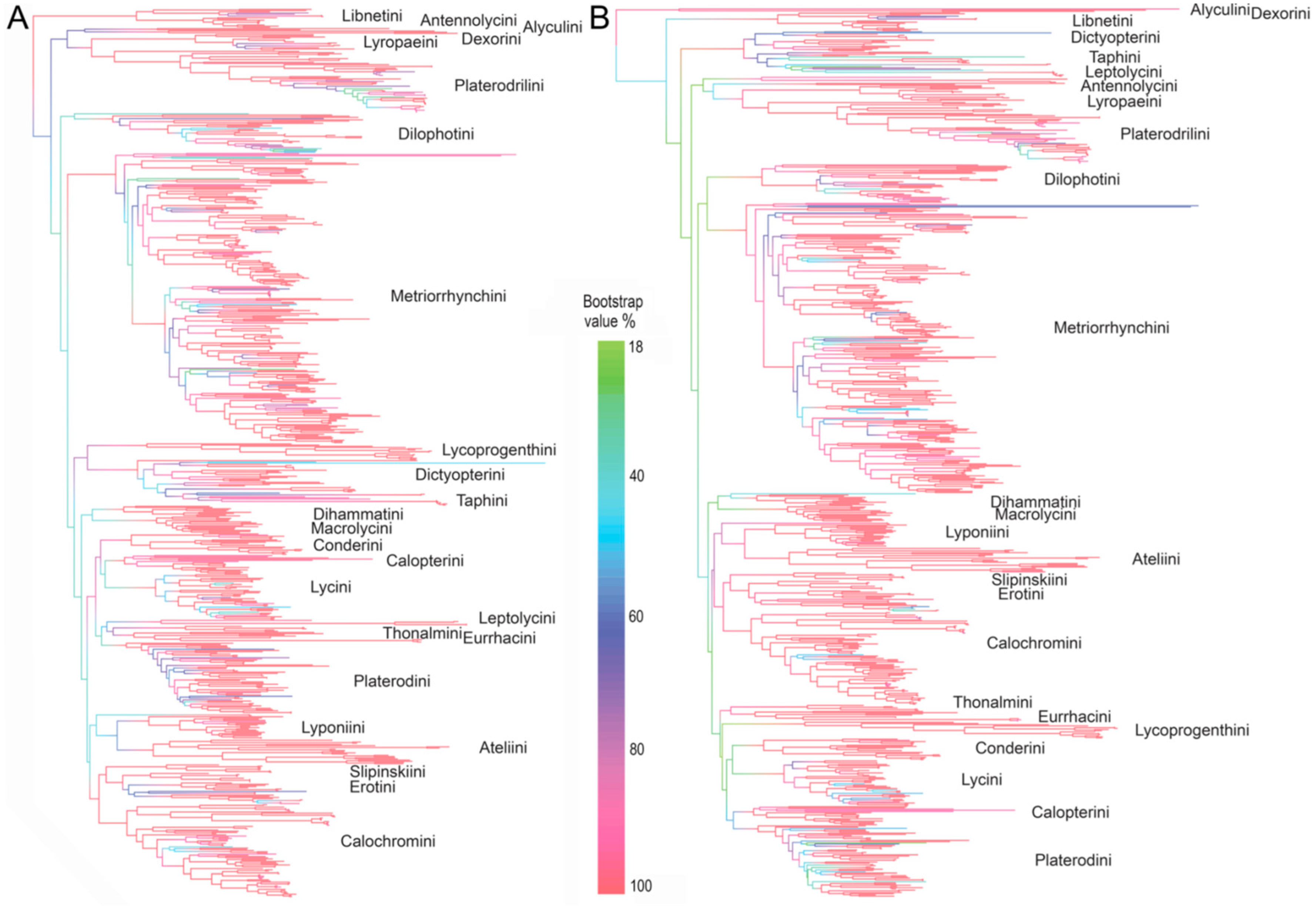 Insects 09 00154 g002