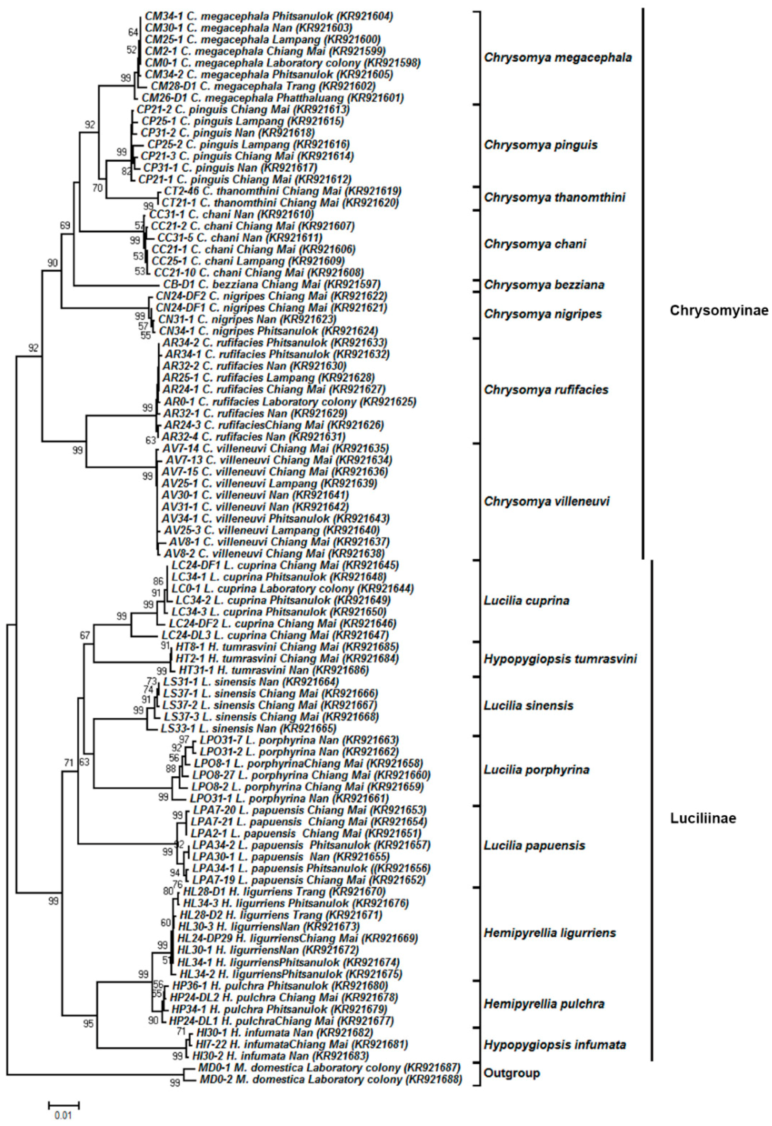 Insects 09 00159 g003