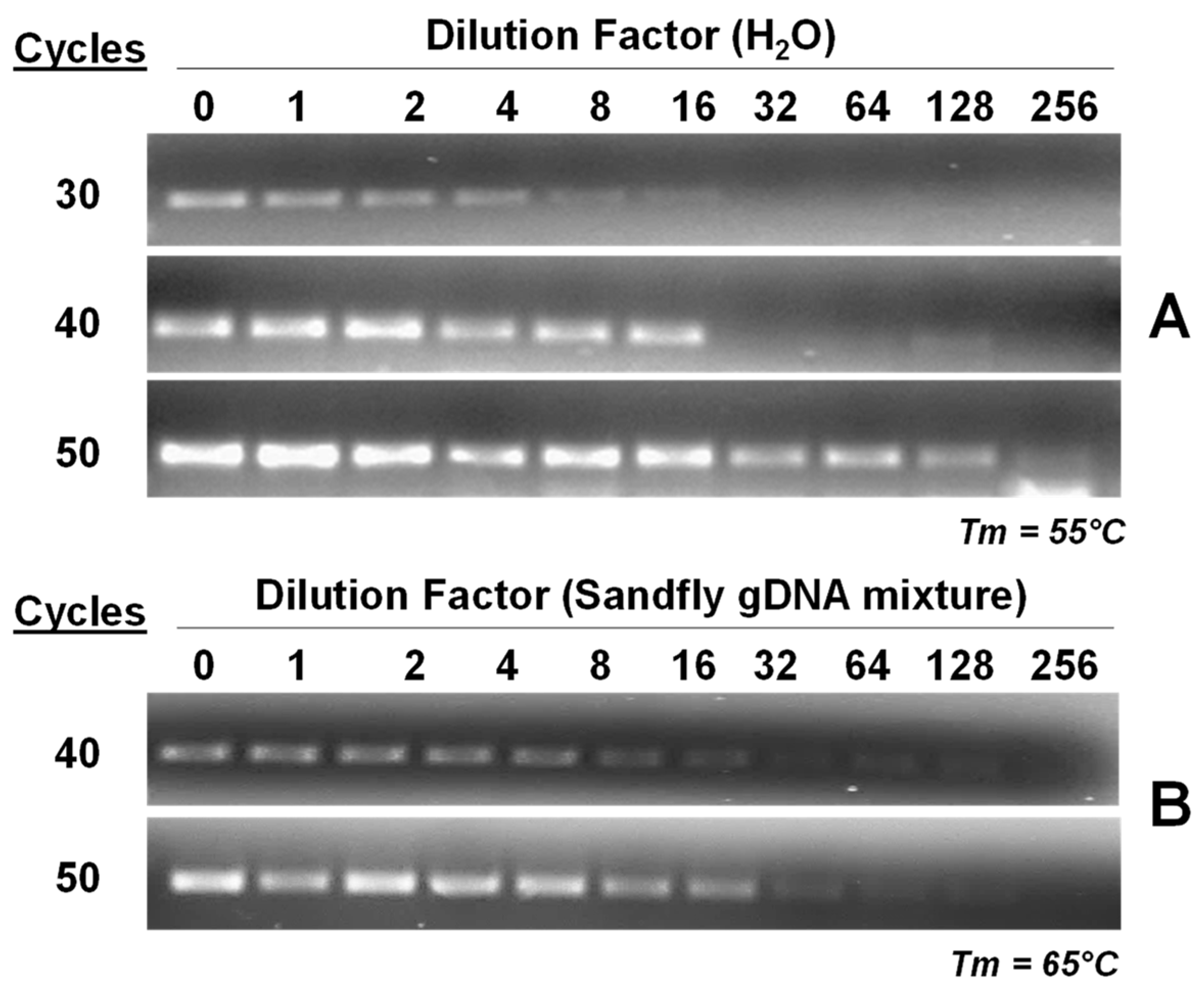 Insects 09 00162 g003