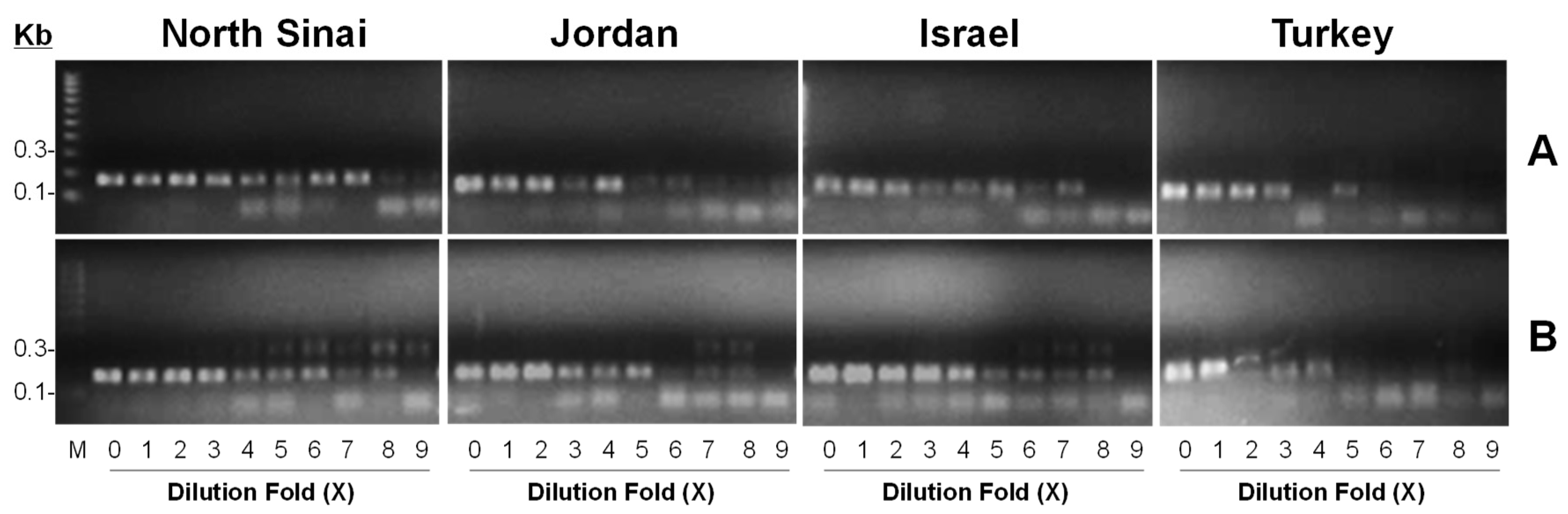 Insects 09 00162 g004
