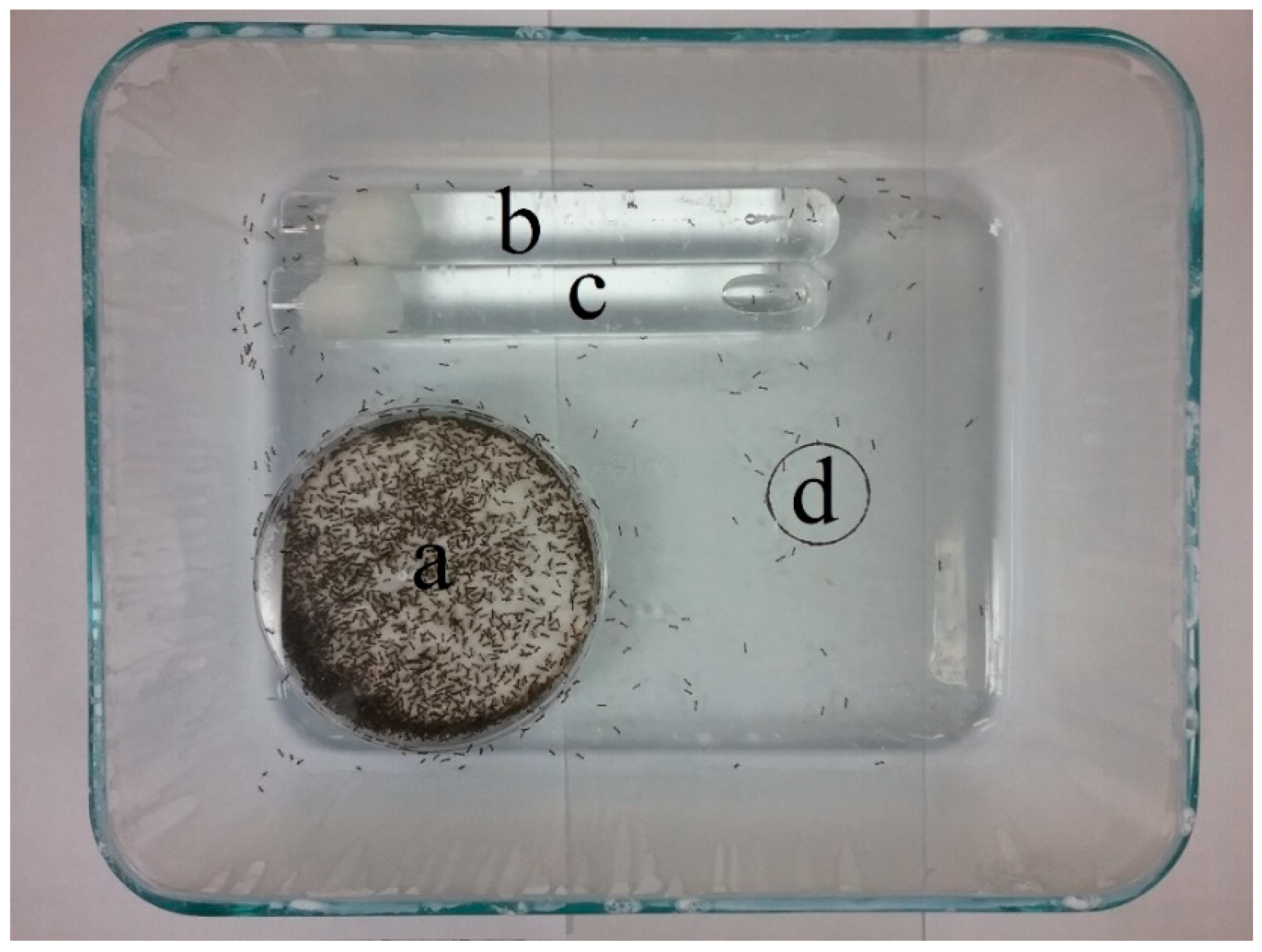 Insects 09 00171 g001