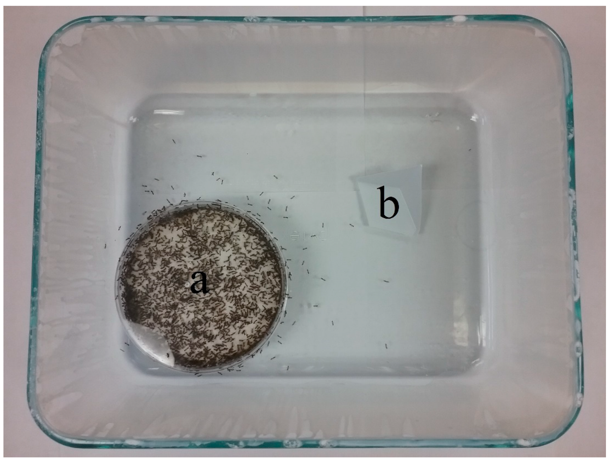 Insects 09 00171 g002