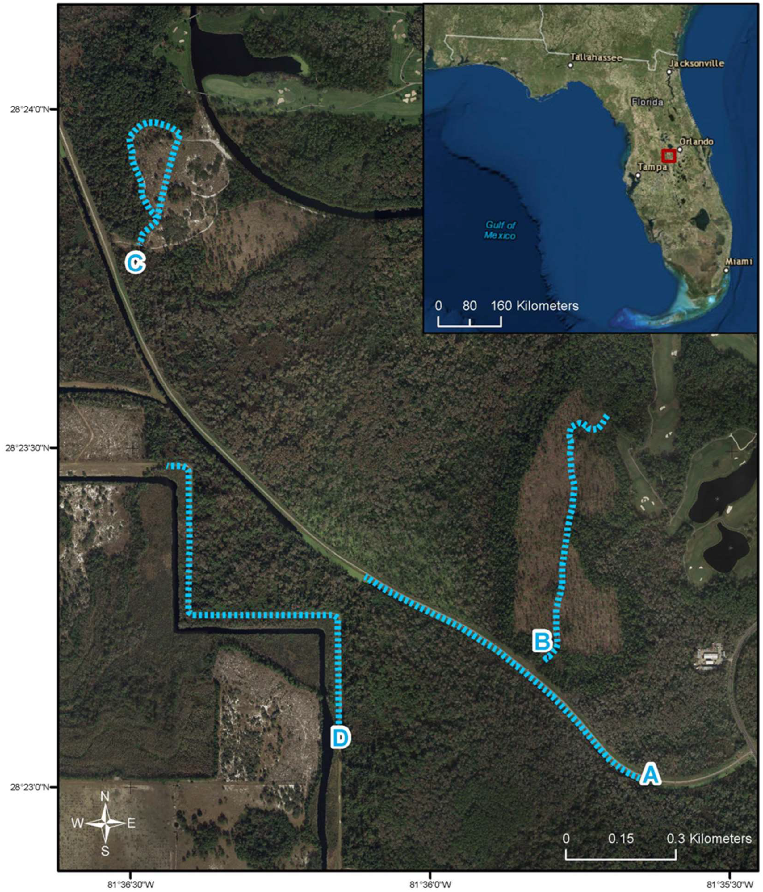 Insects 09 00174 g001