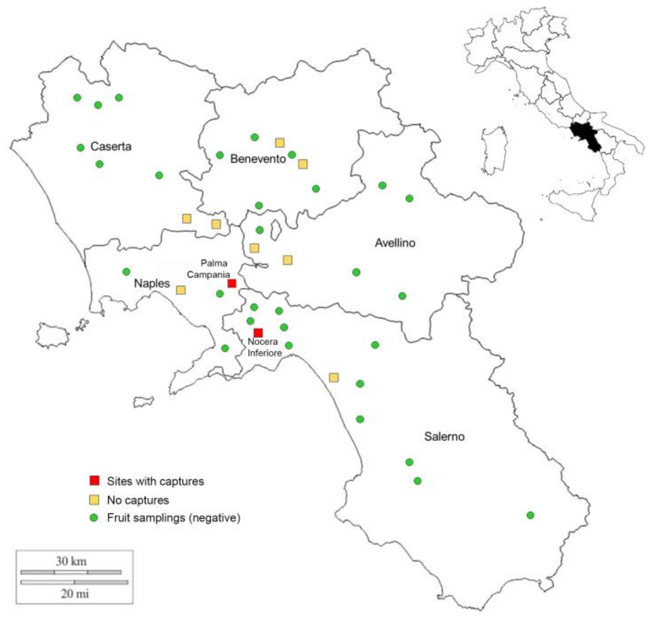 Insects 09 00182 g001