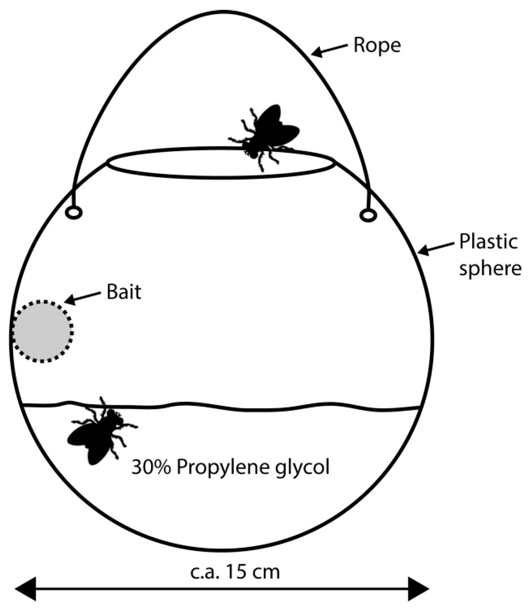 Insects 10 00005 g001