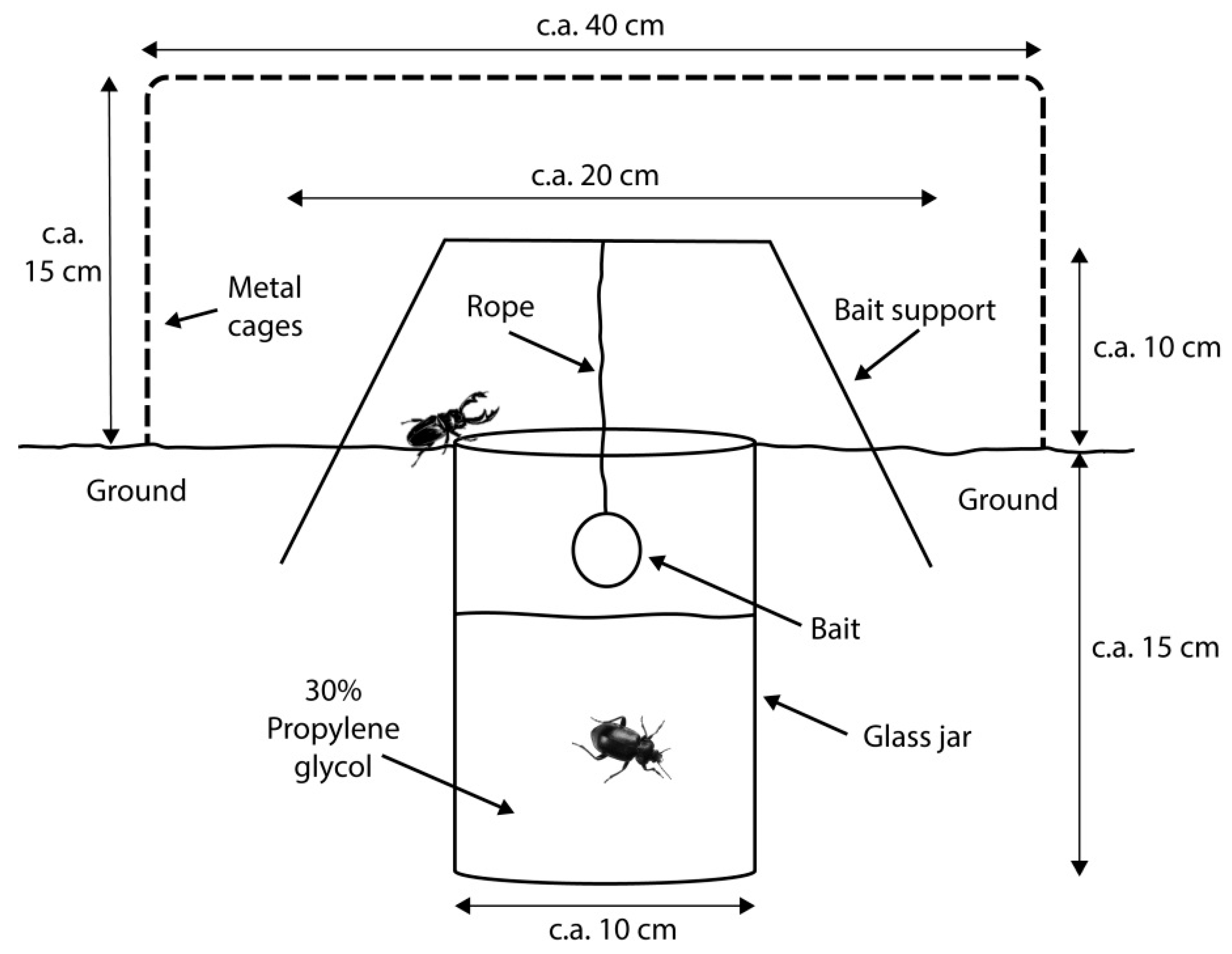 Insects 10 00005 g002