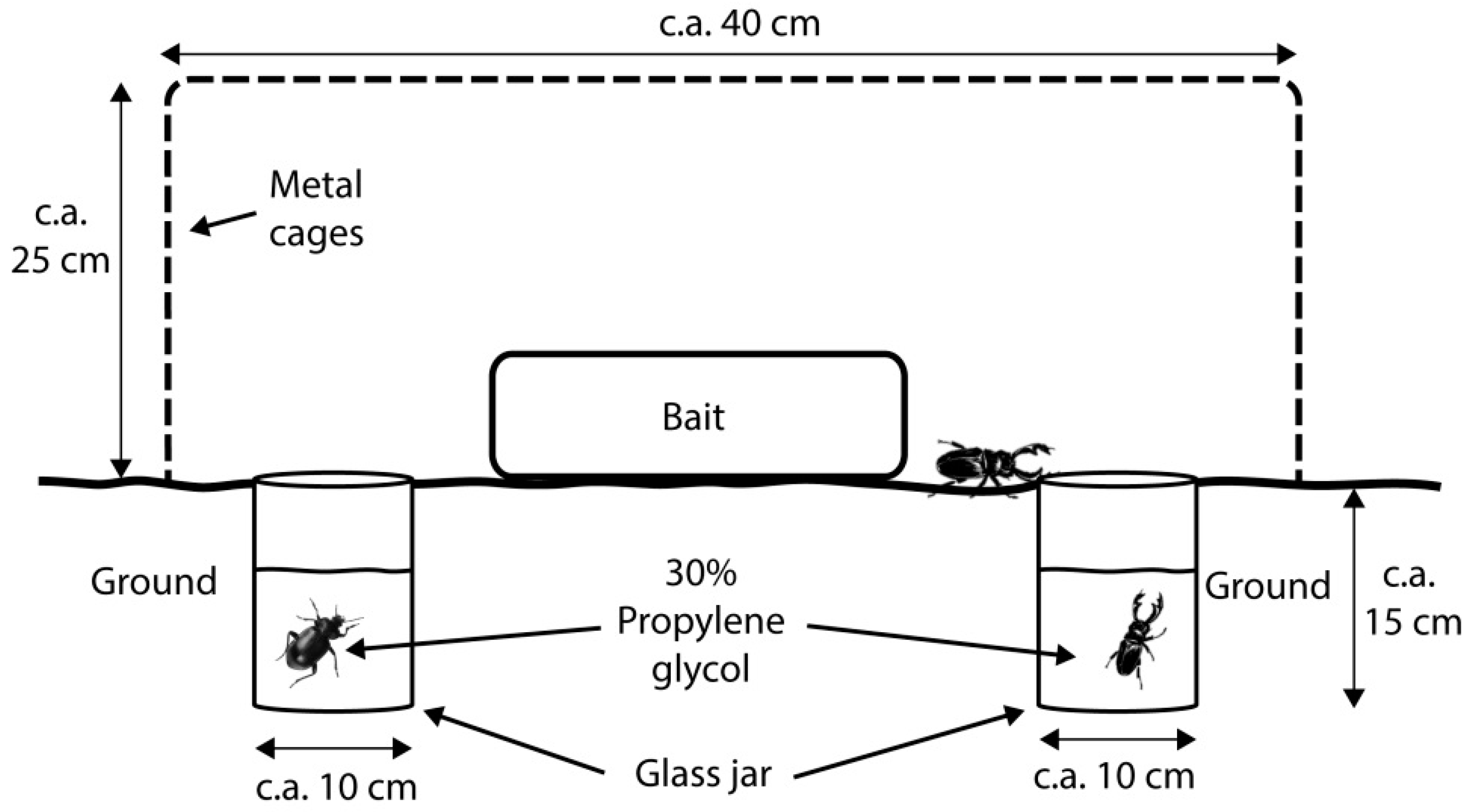 Insects 10 00005 g003