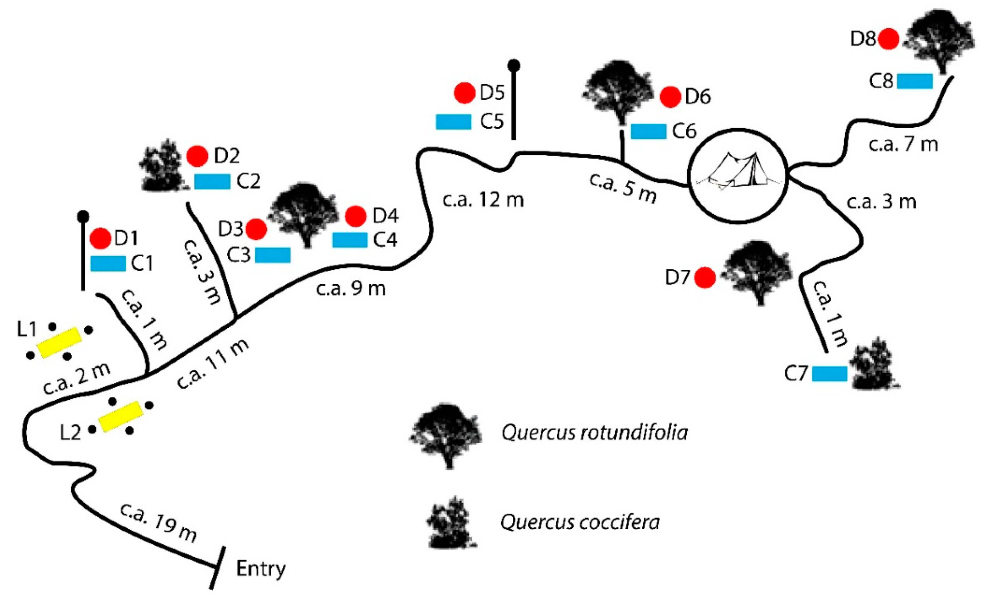 Insects 10 00005 g004