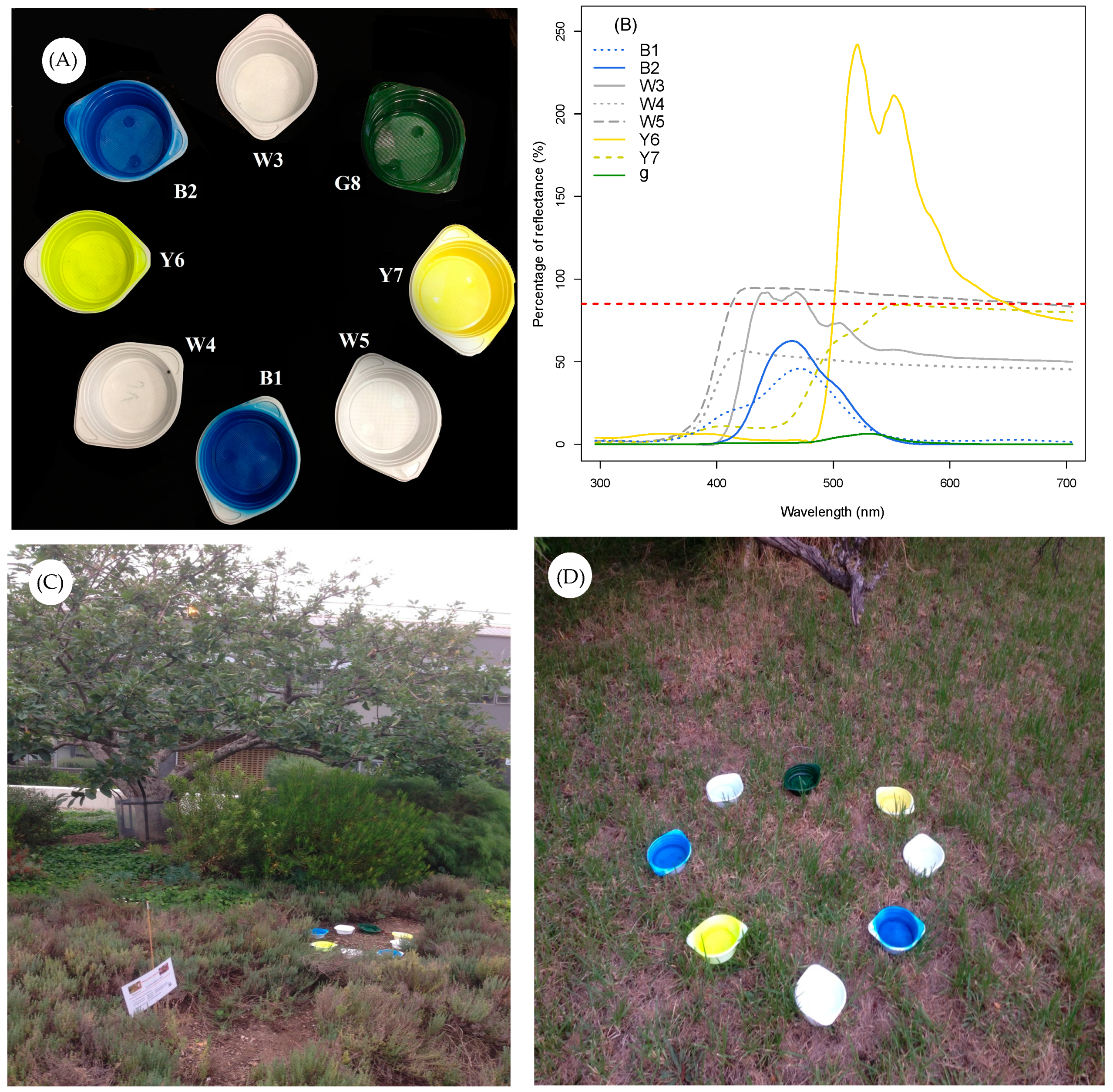Insects 10 00040 g002