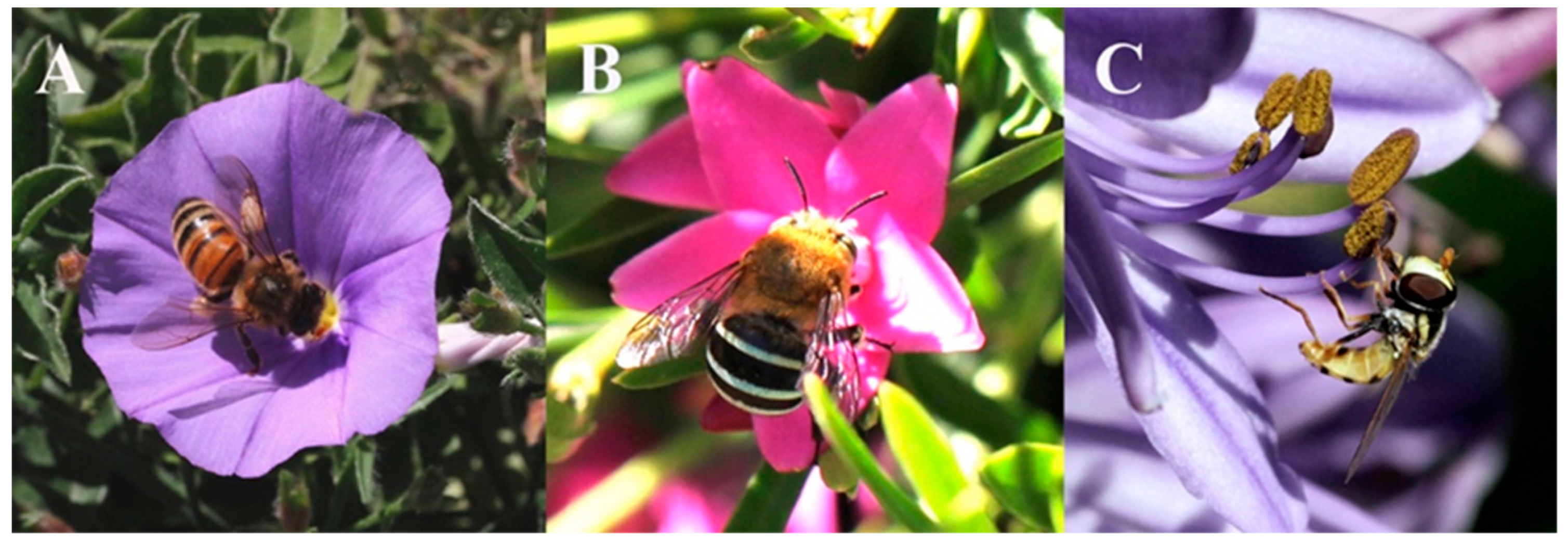 Insects 10 00040 g005