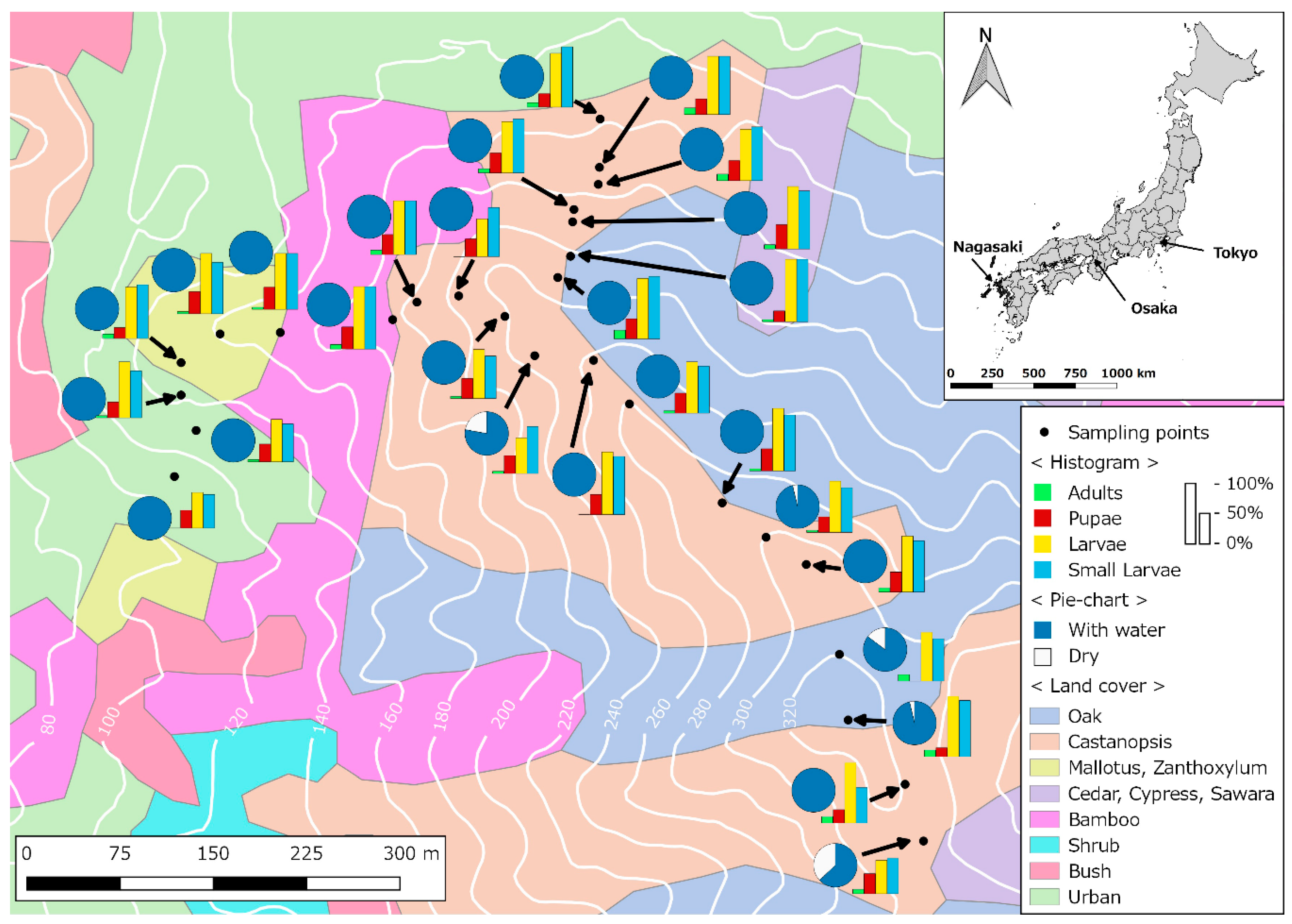Insects 10 00041 g001