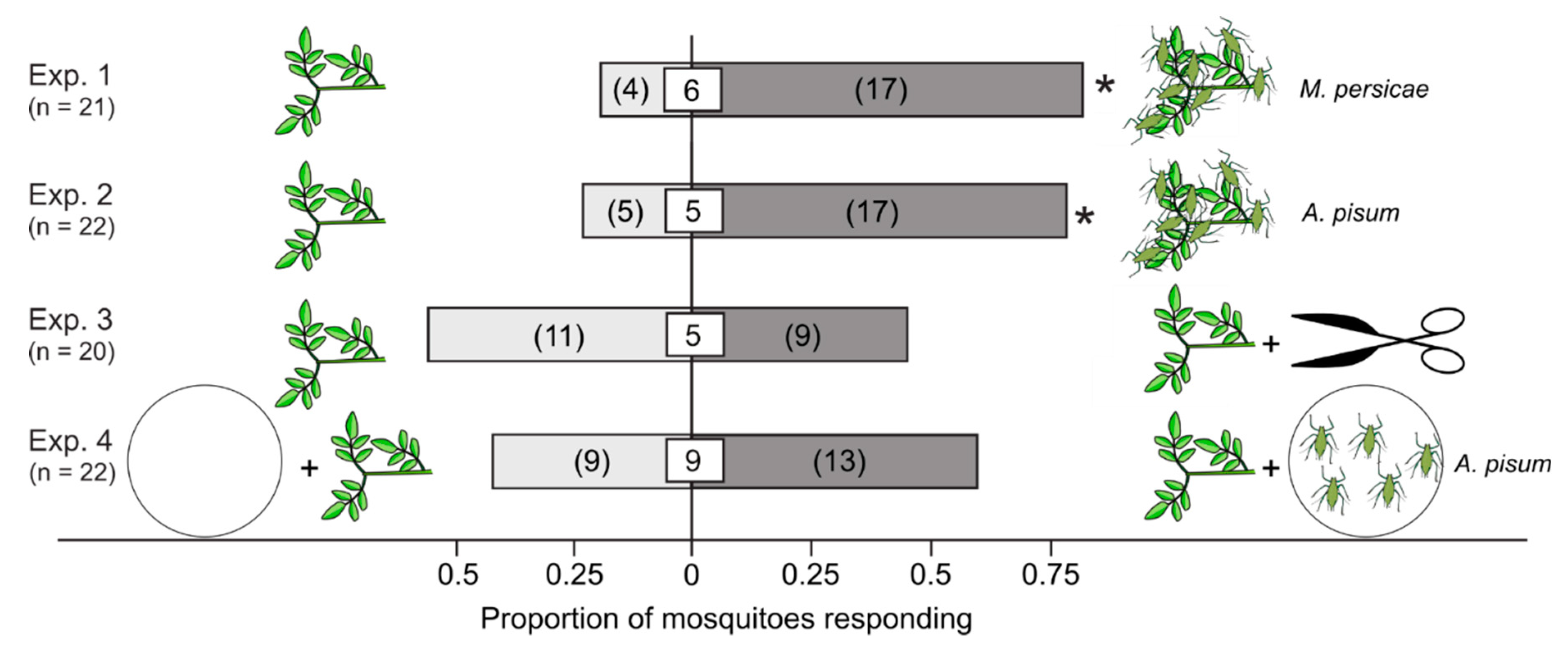Insects 10 00043 g001