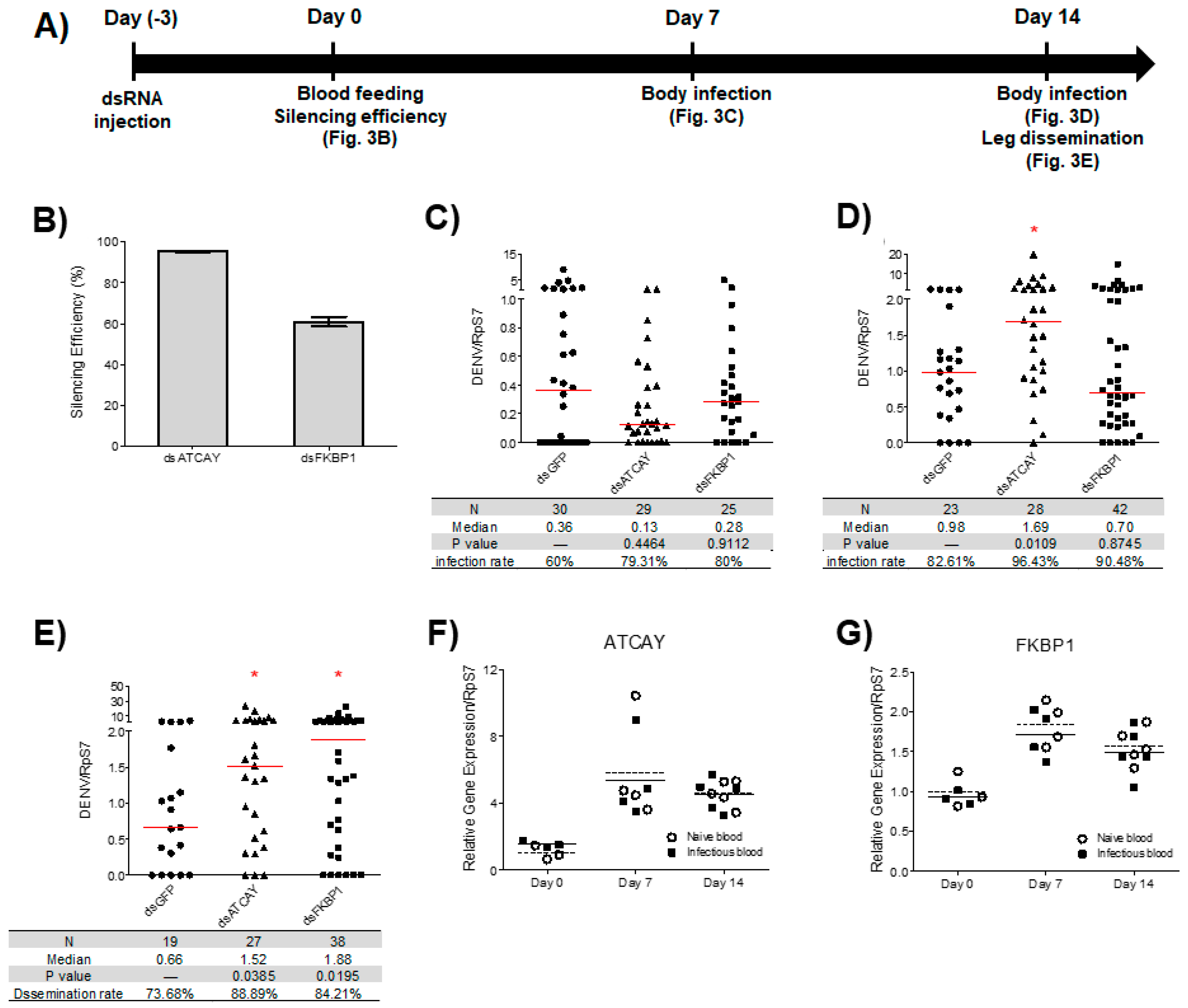 Insects 10 00046 g003