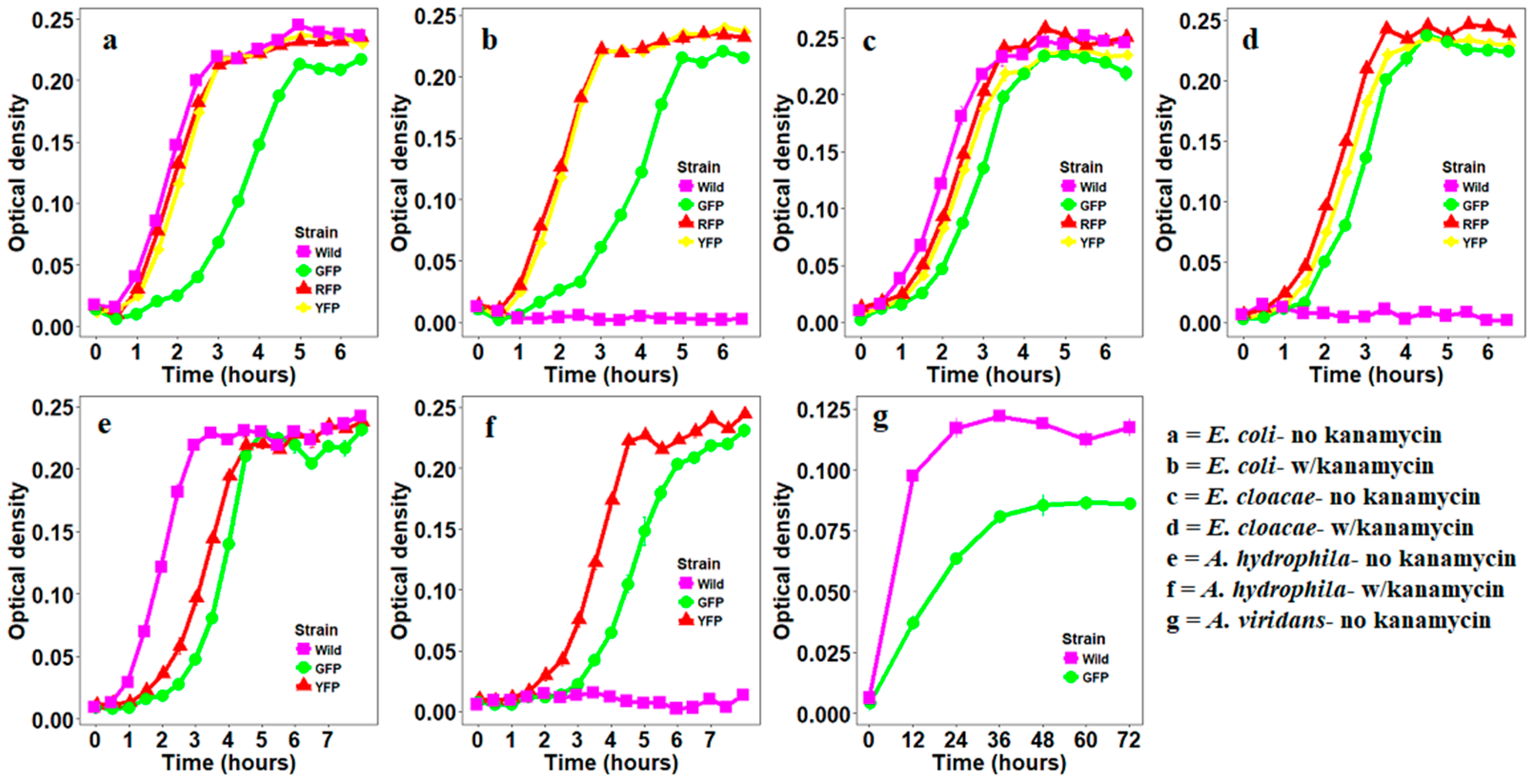 Insects 10 00049 g001