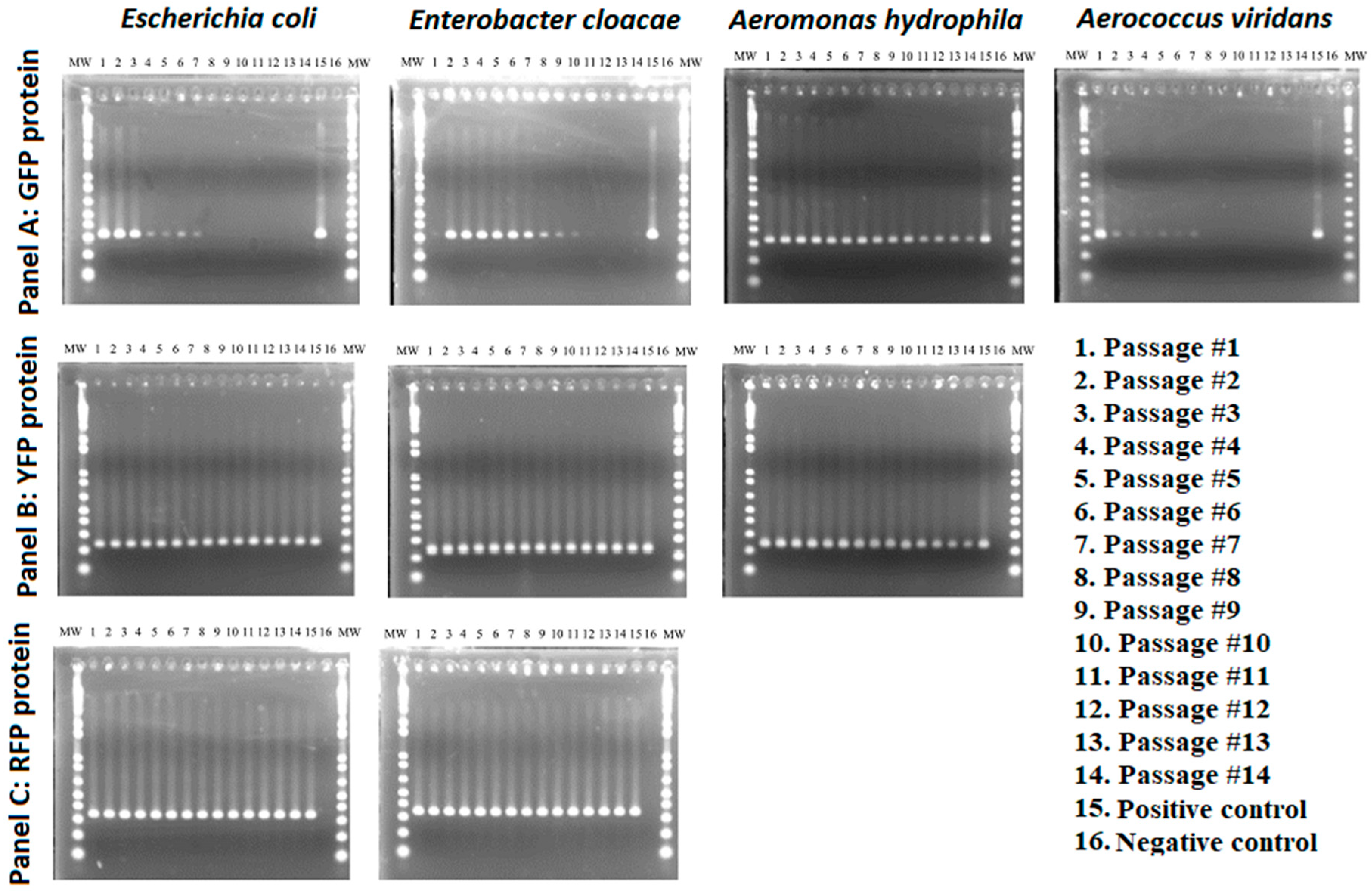 Insects 10 00049 g003
