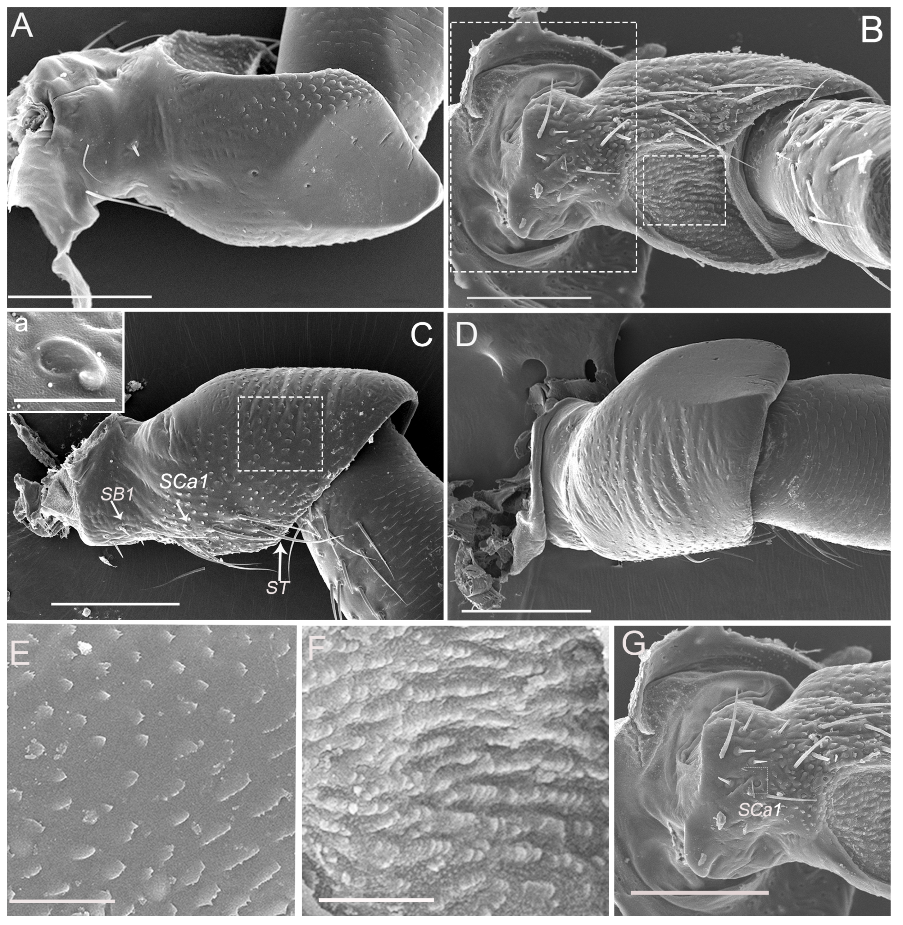 Insects 10 00056 g002