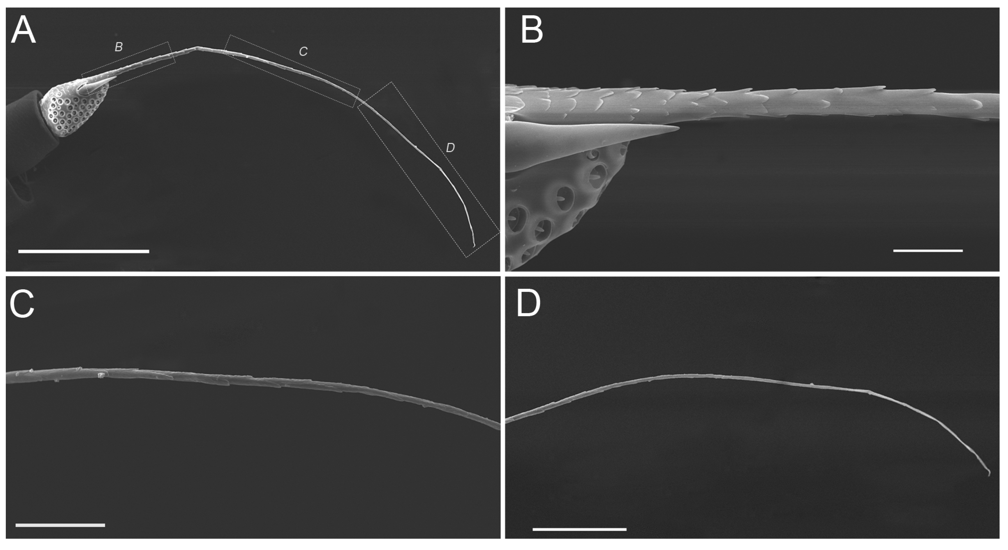 Insects 10 00056 g007